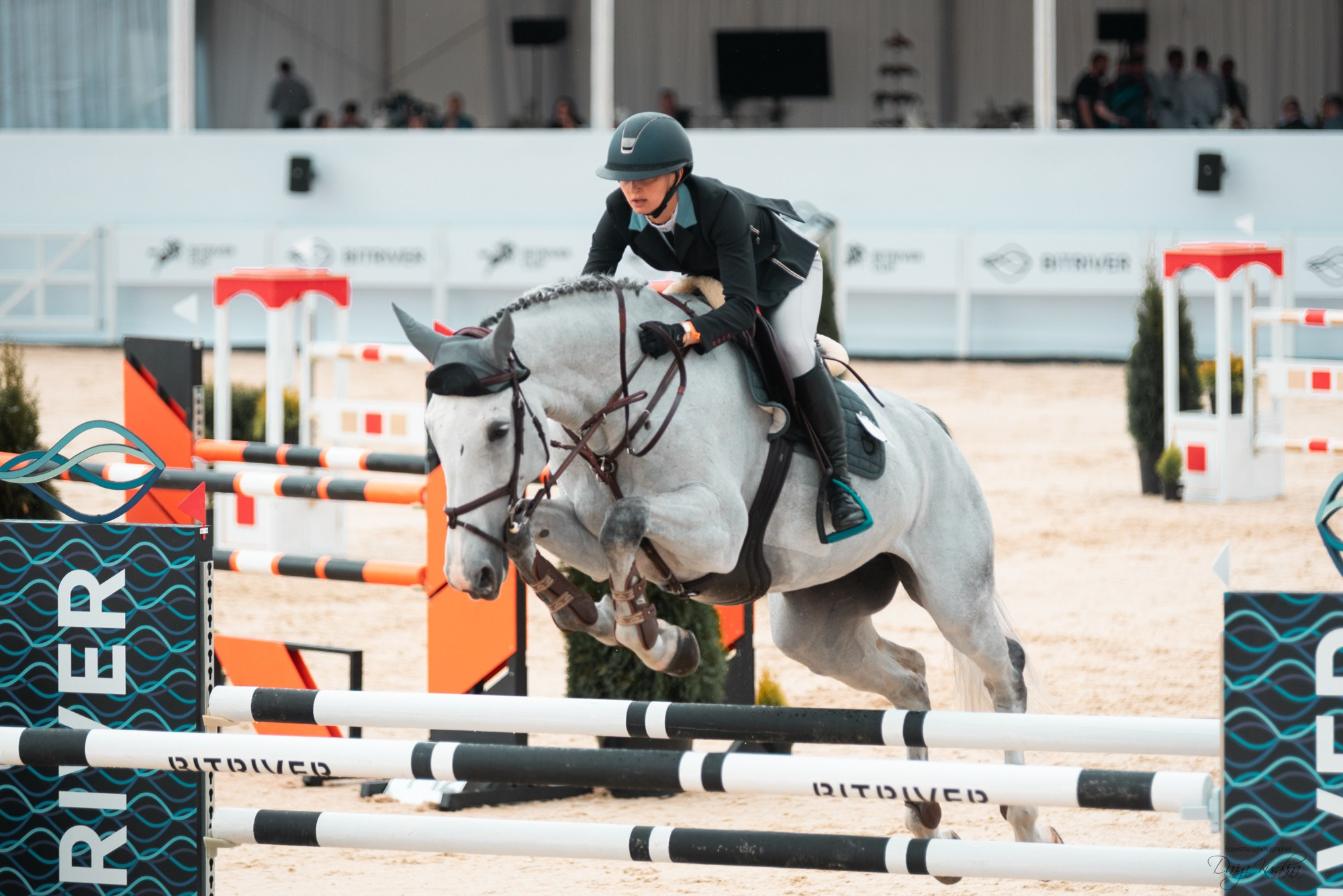 BITRIVER CUP 2023. Конный фотограф Куракина Дарья • Фотосессии с лошадьми