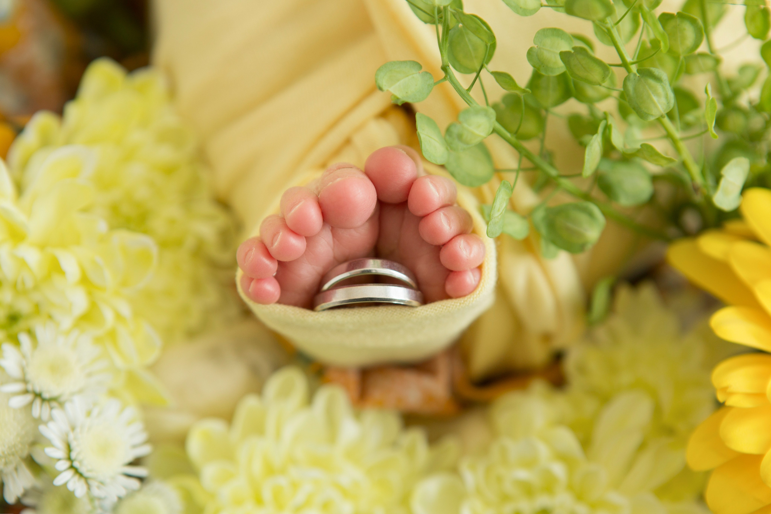 Фотосессия новорожденного. Фотограф новорожденных и беременности, Екатеринбург Сметанина Наталья