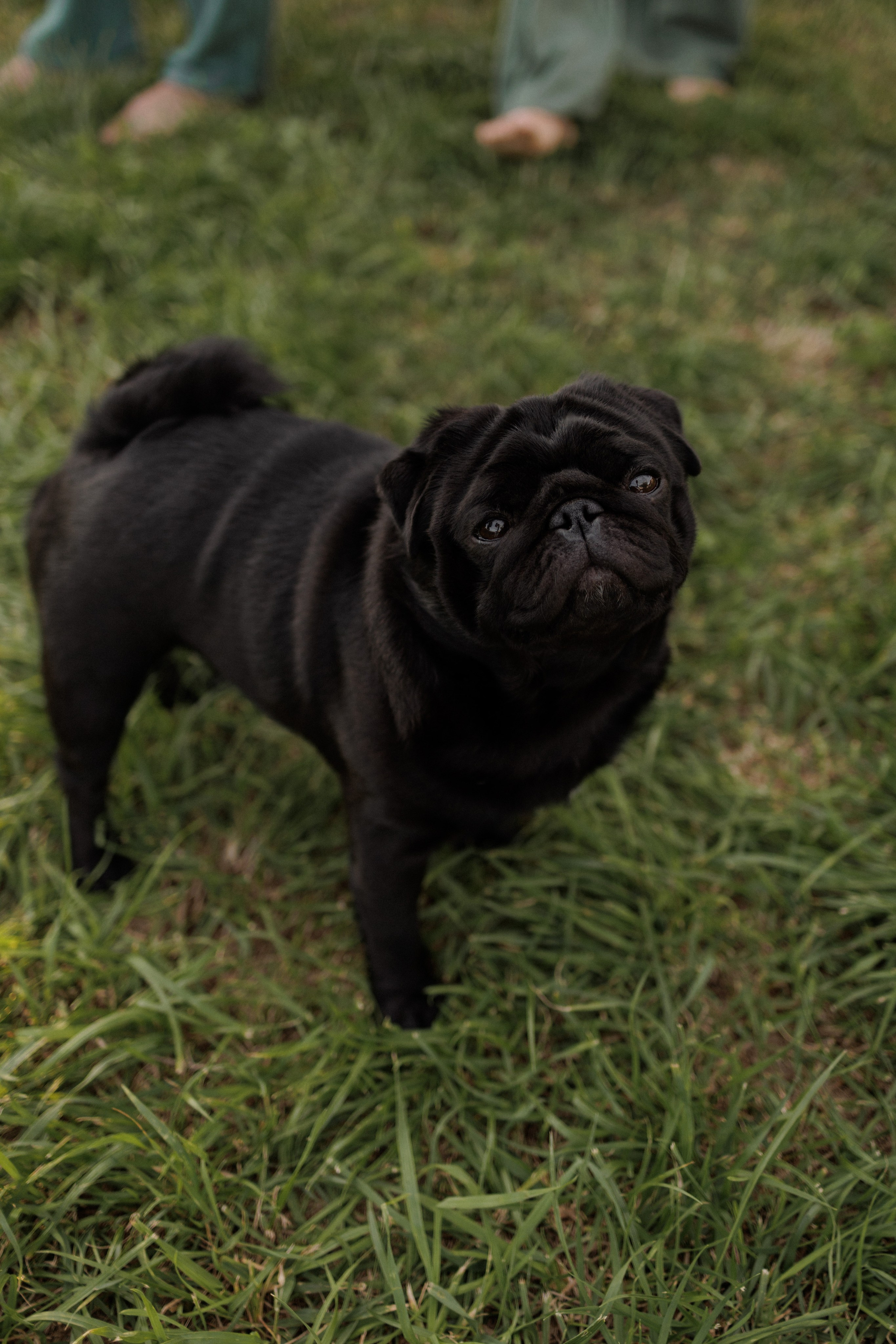На закате одного прекрасного вечера. Фотограф Софья Гречка