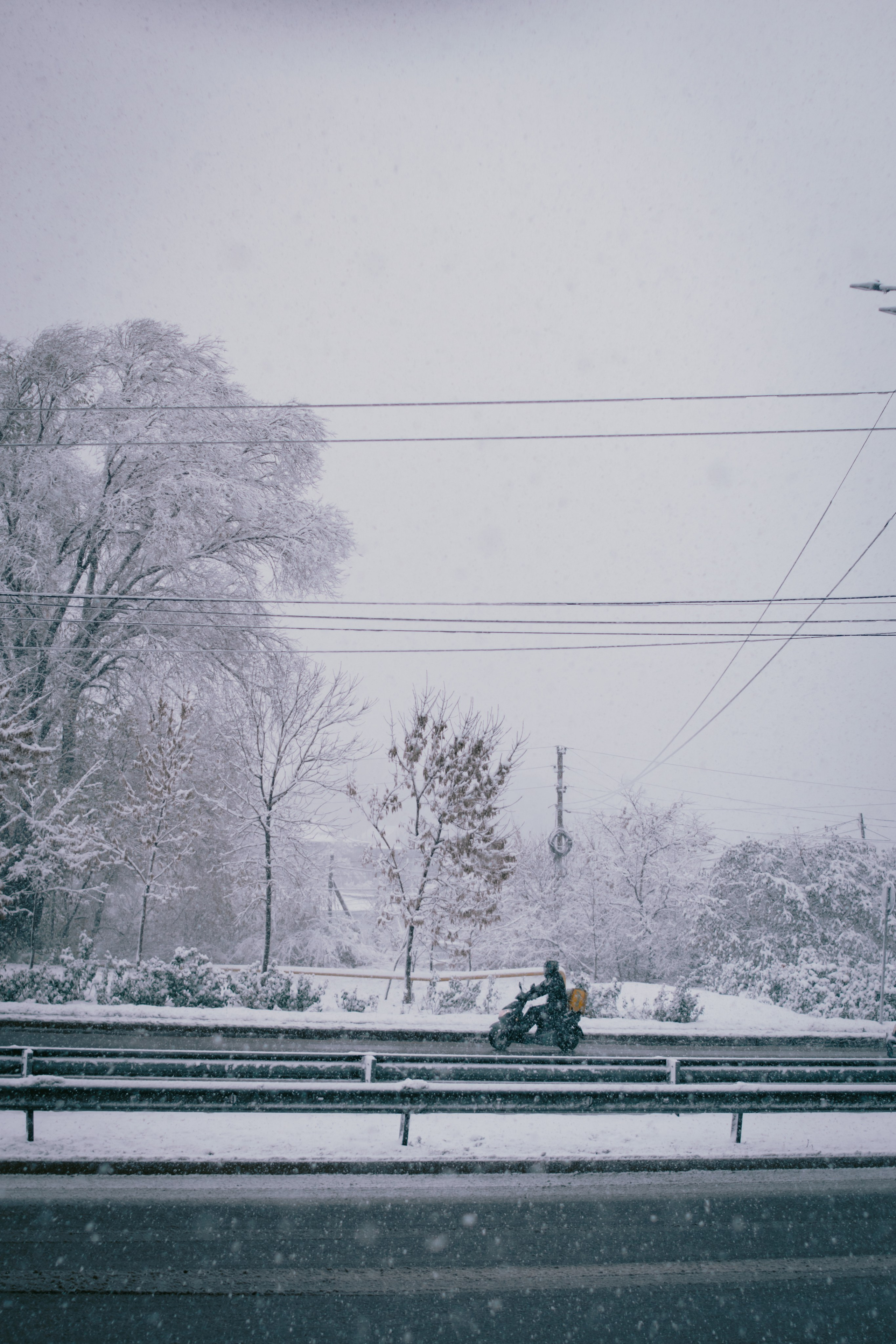 Визуальный дневник. Репортажный фотограф в Алматы Цой Сергей