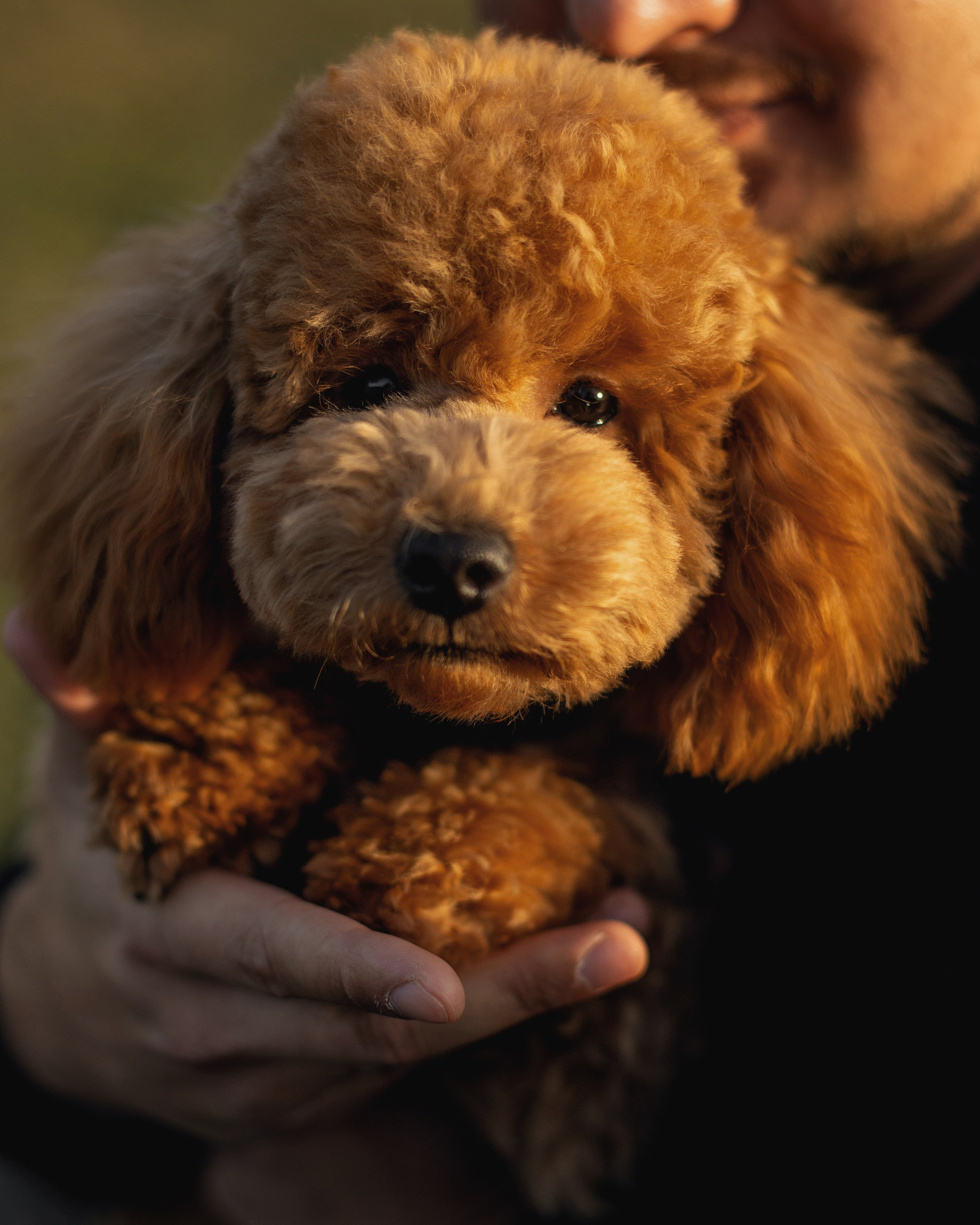 Артём и Анастасия