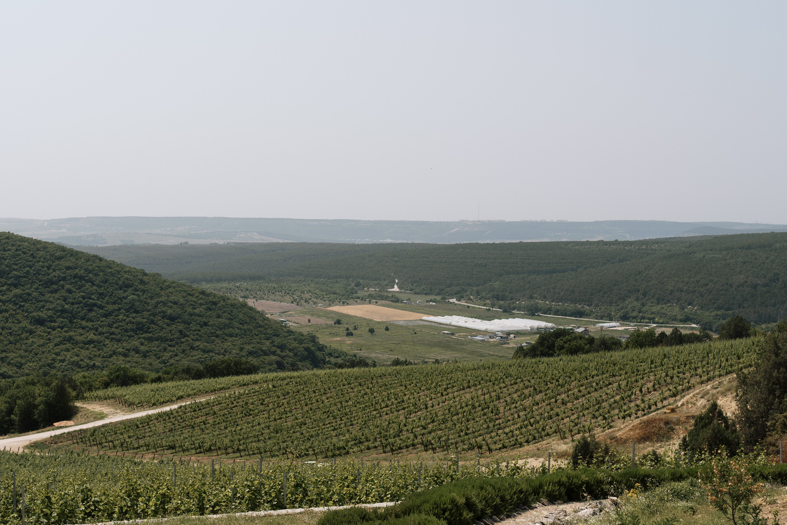 Анастасия & Дмитрий. Свадебный и портретный фотограф Алена Седининна в Крыму