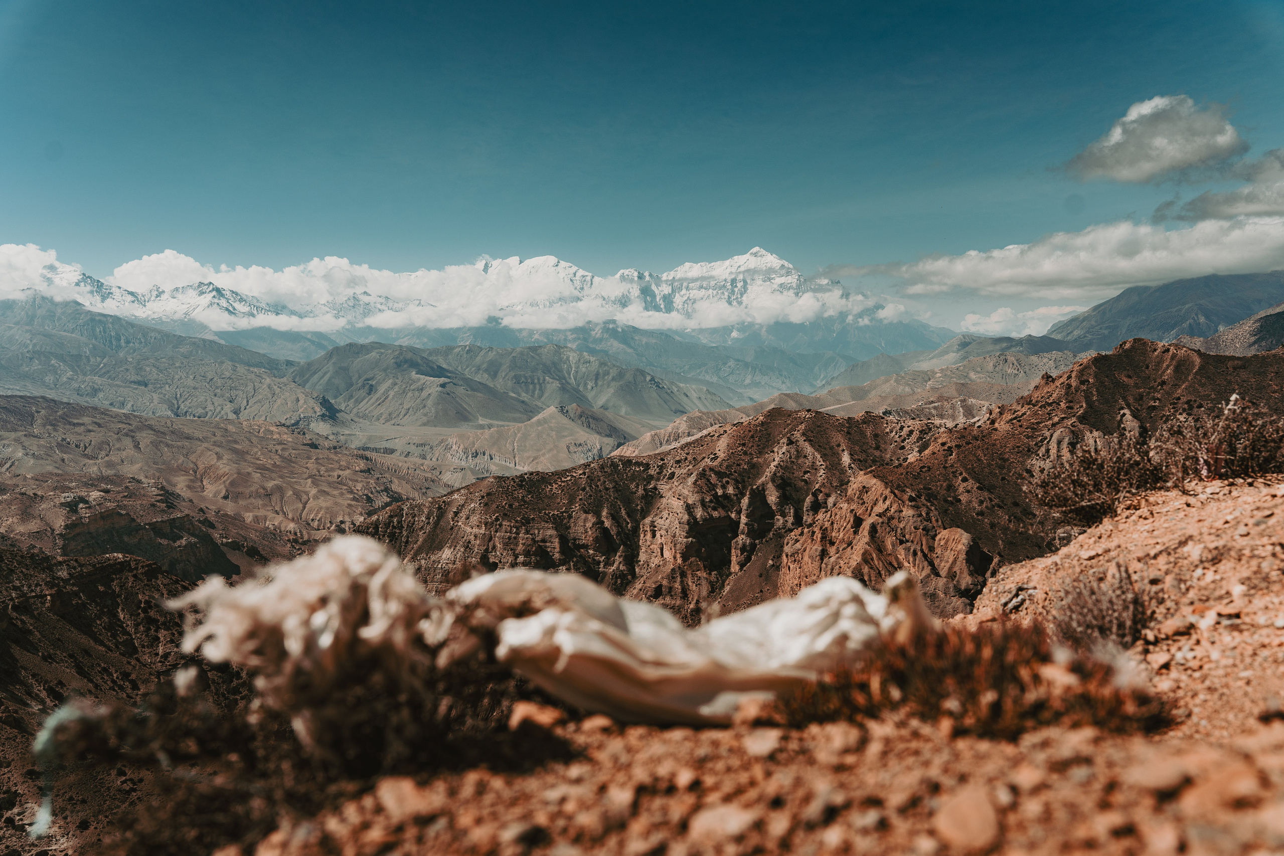 Королевство Мустанг. Dmitry Ippolitov