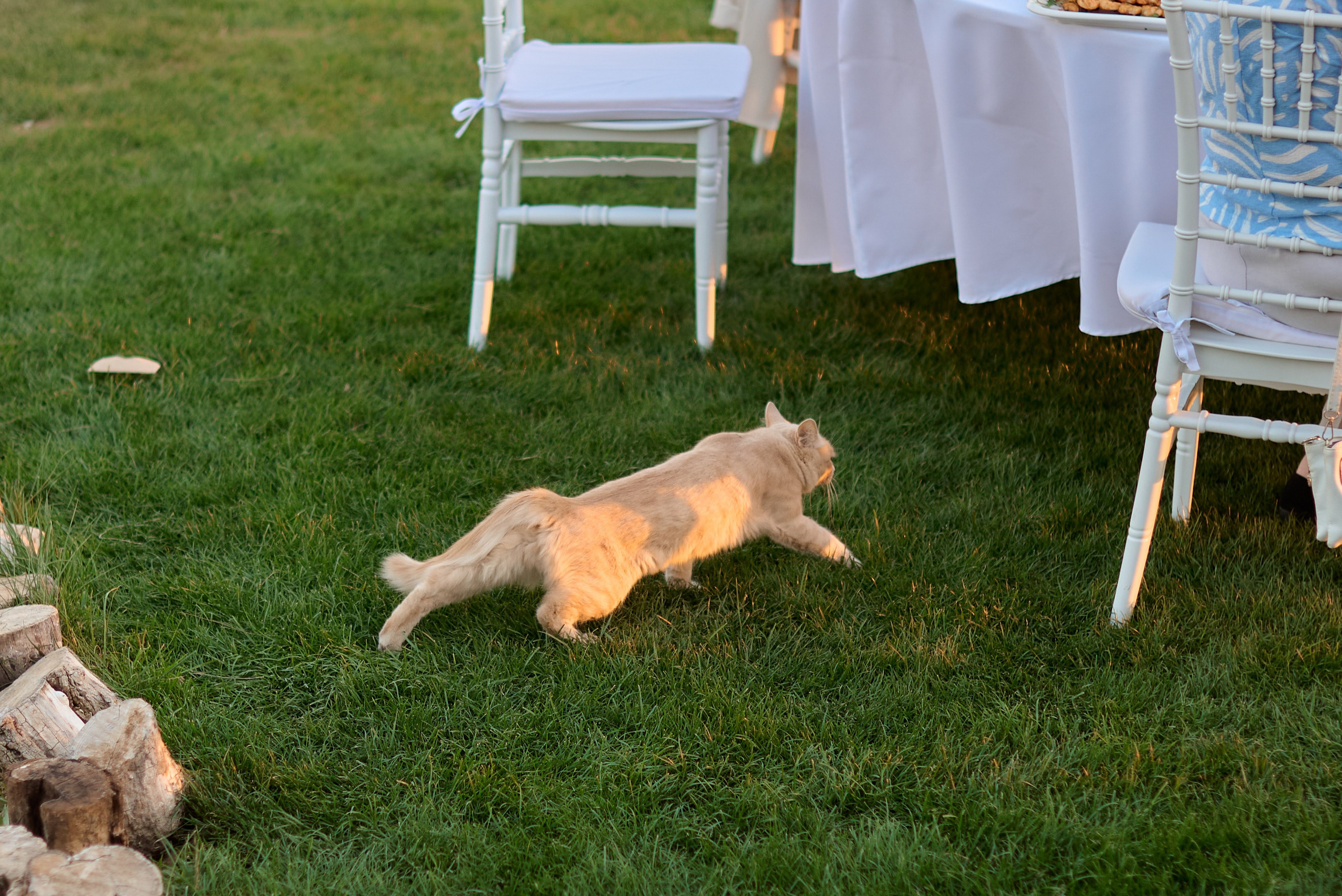 Яна и Андрей. Фотограф в Севастополе