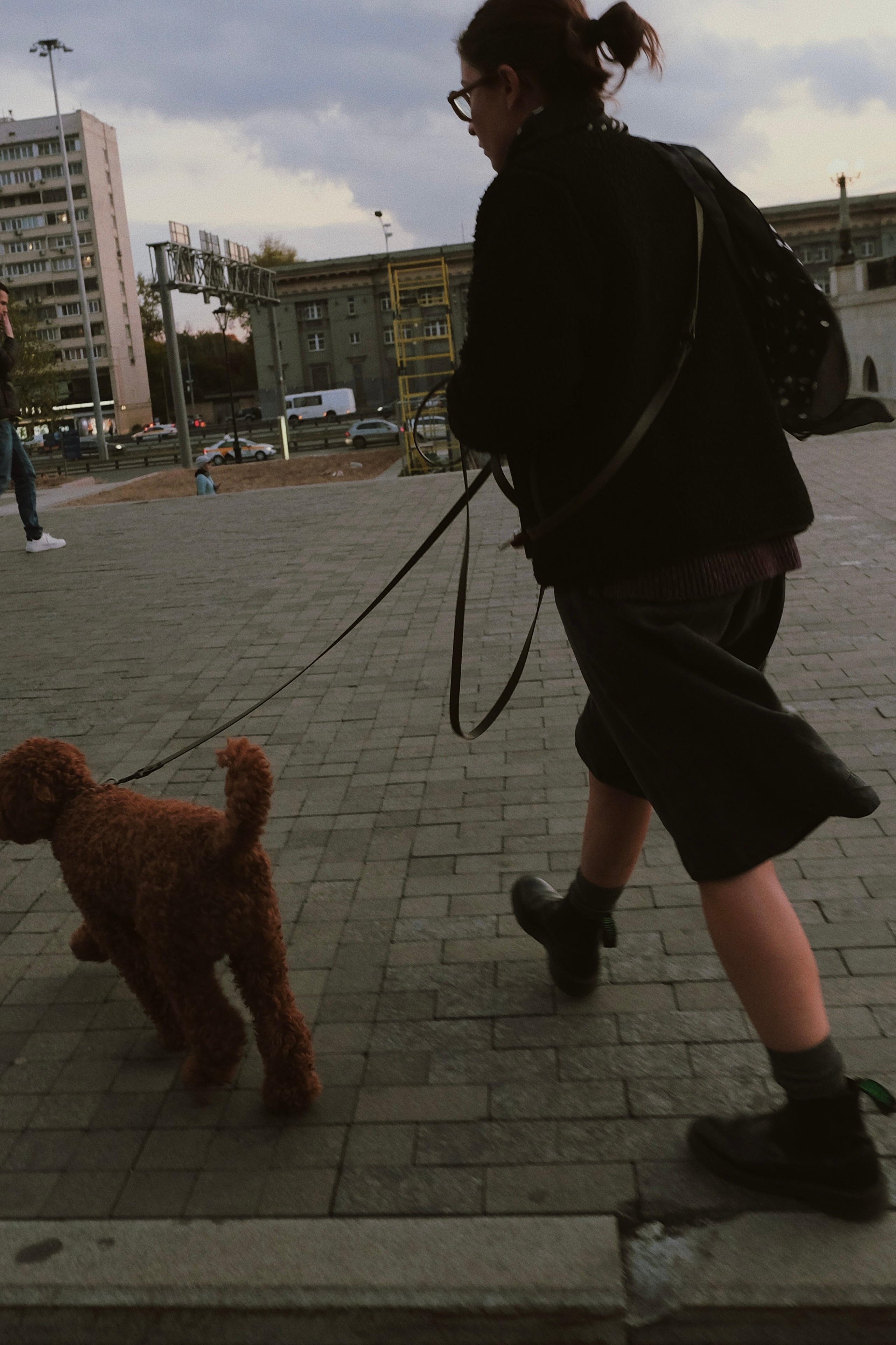 Питомцы. Татьян гертье