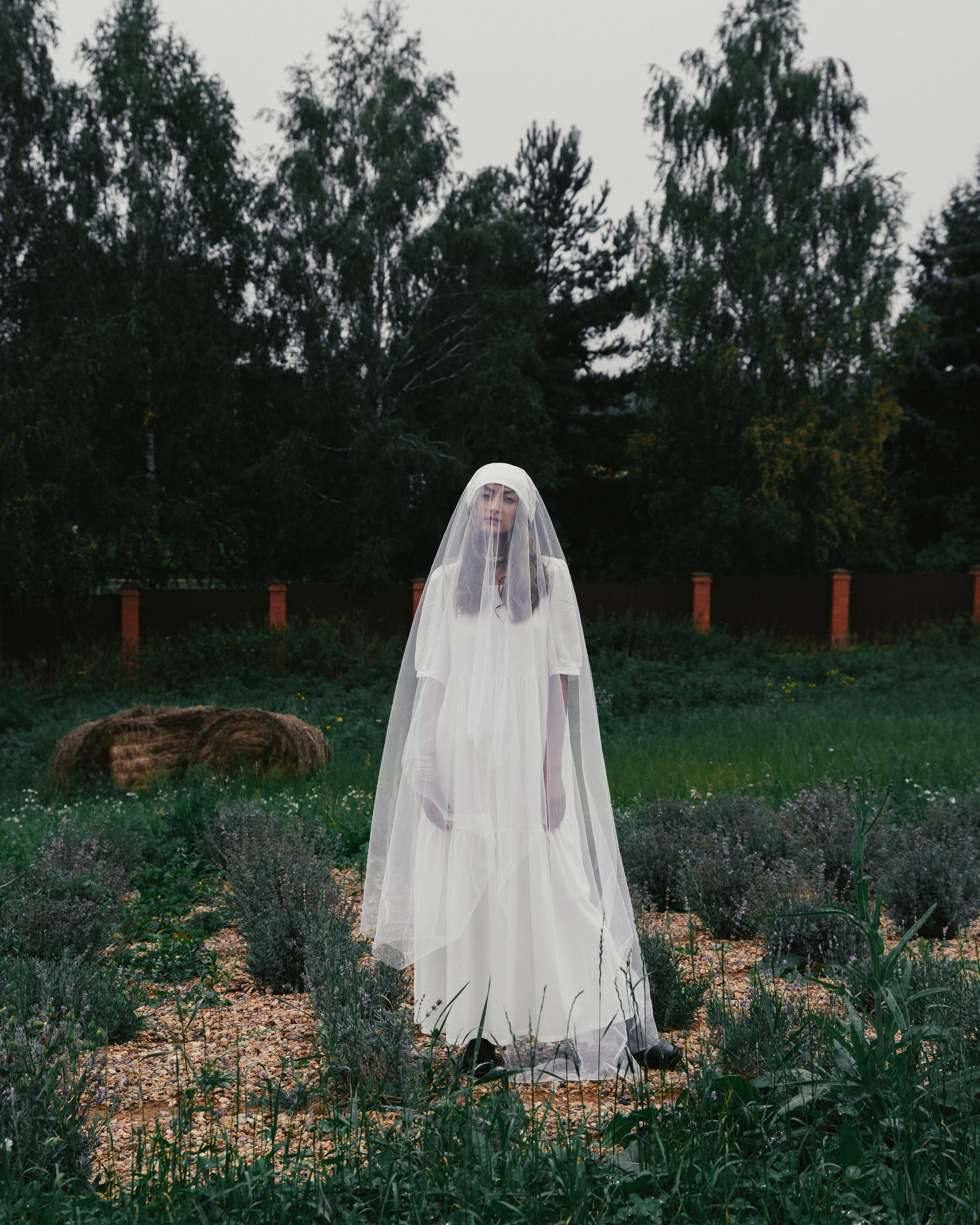 Provence. Семейный фотограф Наталья Иванкова, Москва