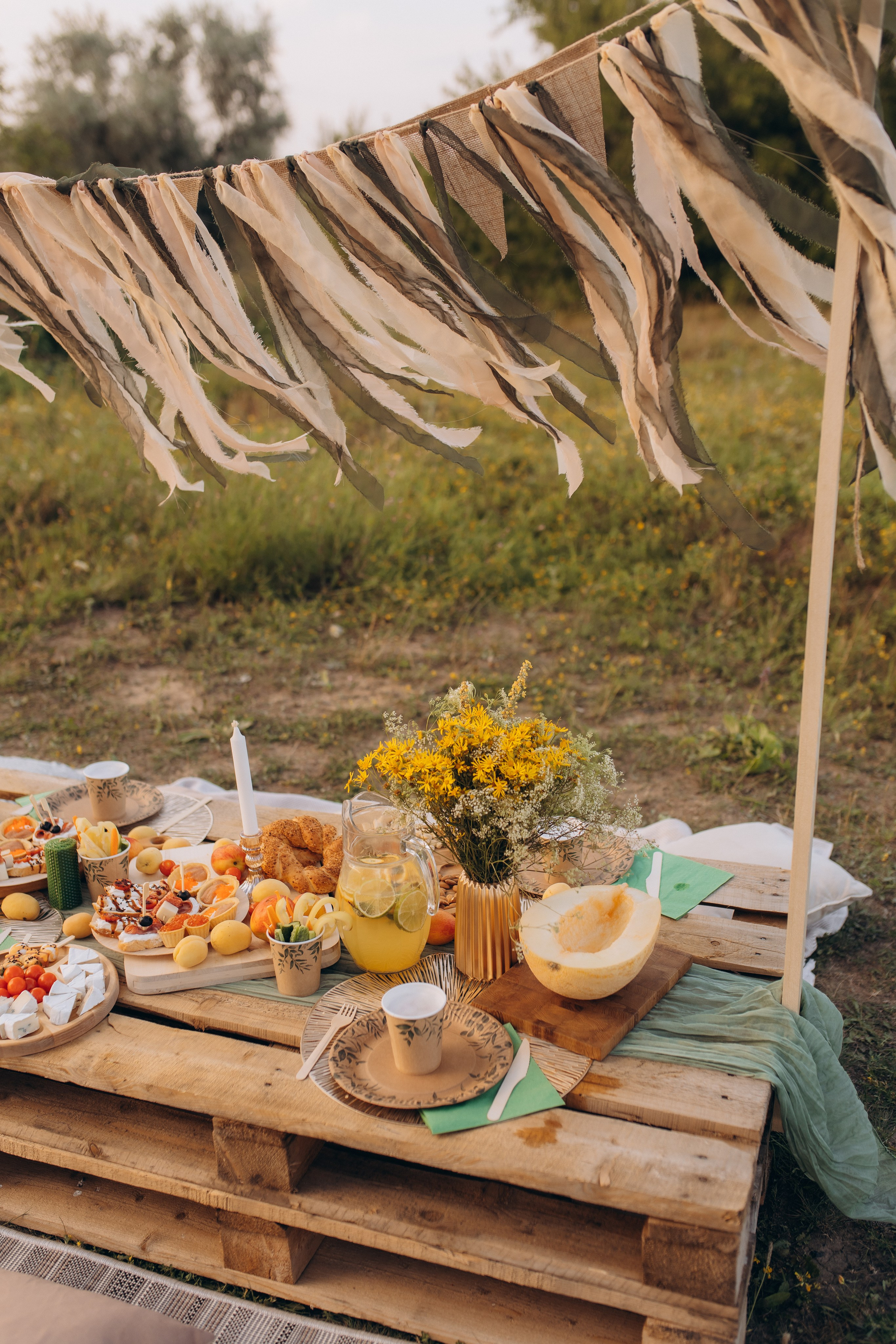 Летний пикник. Свадебный и семейный фотограф в Белгороде Евгения Курочкина