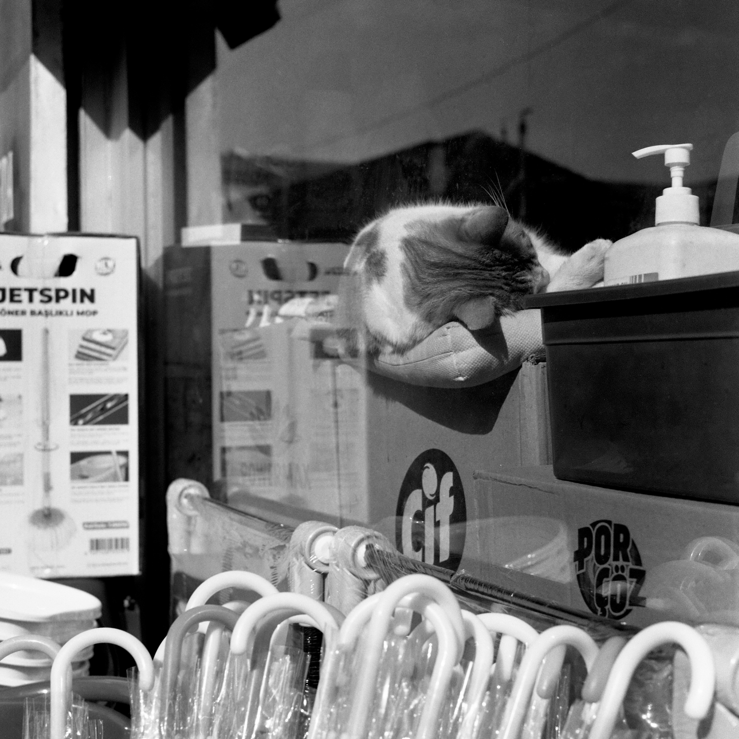 Turkey, Istanbul. Elena Nikitina. Photo Artist. Film photography. Prints