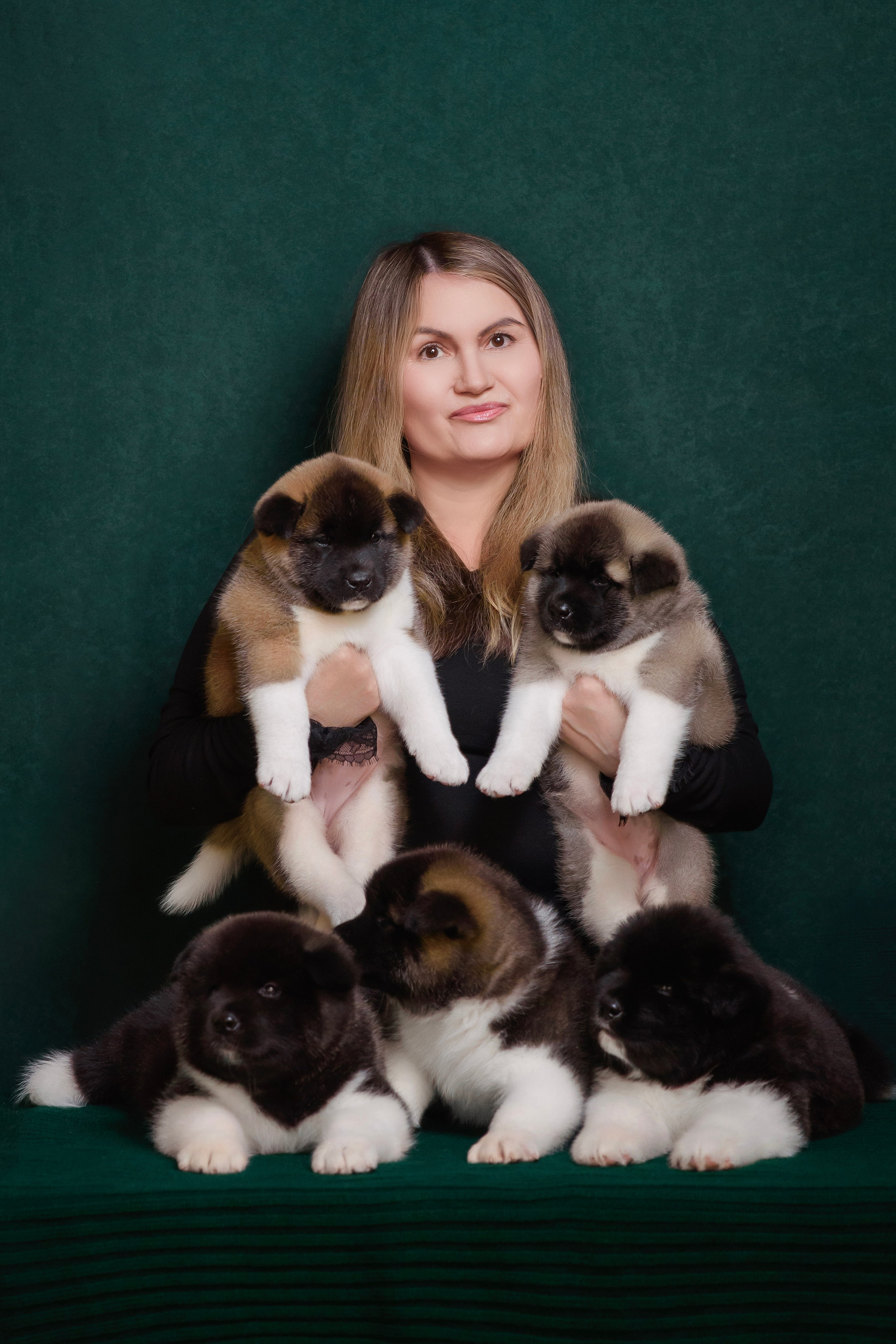 Щенки Американской Акиты. Фотограф — Анималист | Анна Абрамова