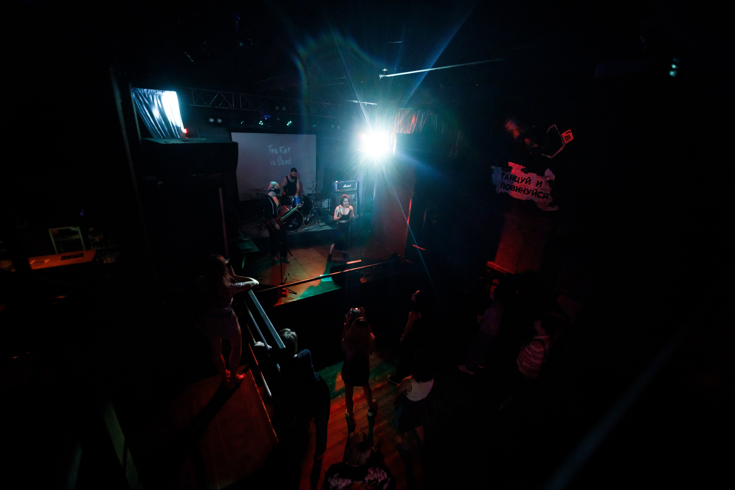 THE KAT IS DEAD. Фотограф Елена Богачева (lenalena_na_na_na)