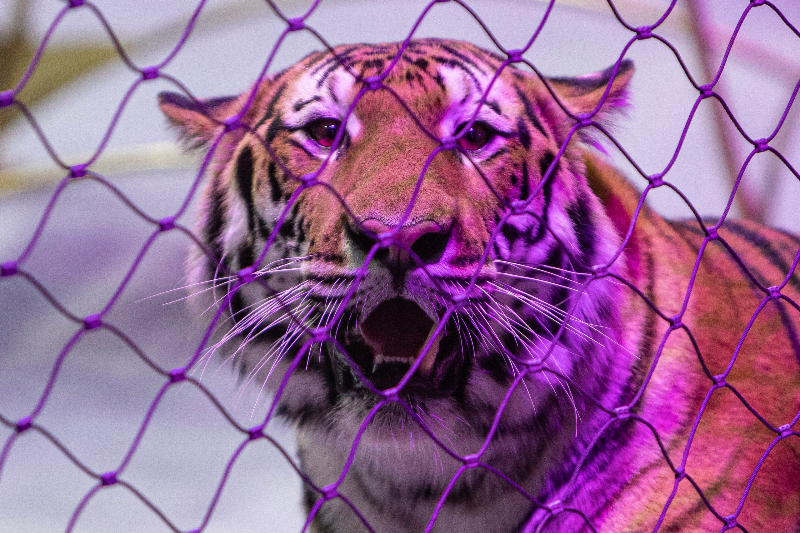 Про жизнь. Фотограф Сергей Ловкий
