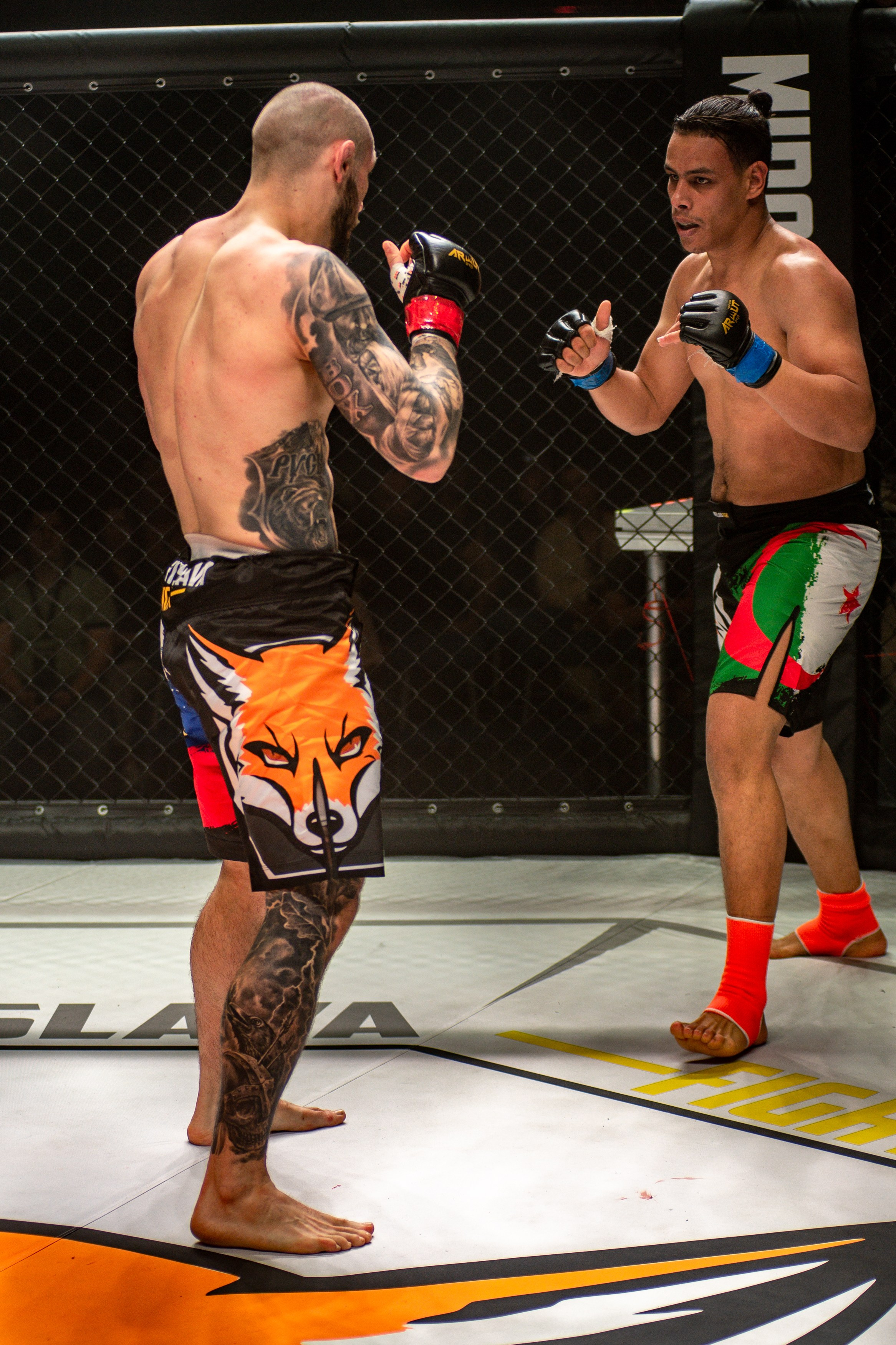 Miroslava Fight