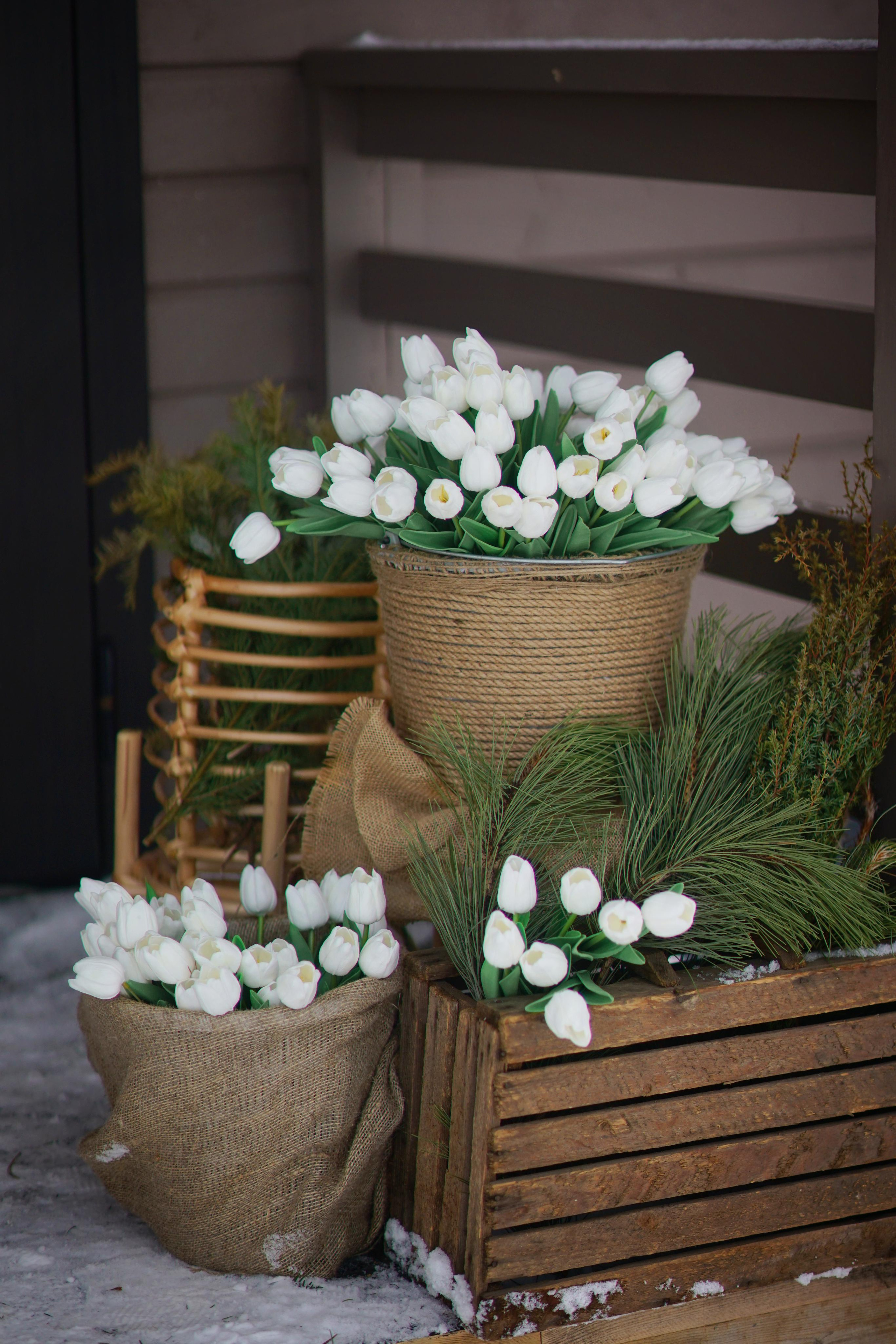 Веранда и тюльпаны. Фотодача — загородный дом для съемок в Домодедово, Московская область