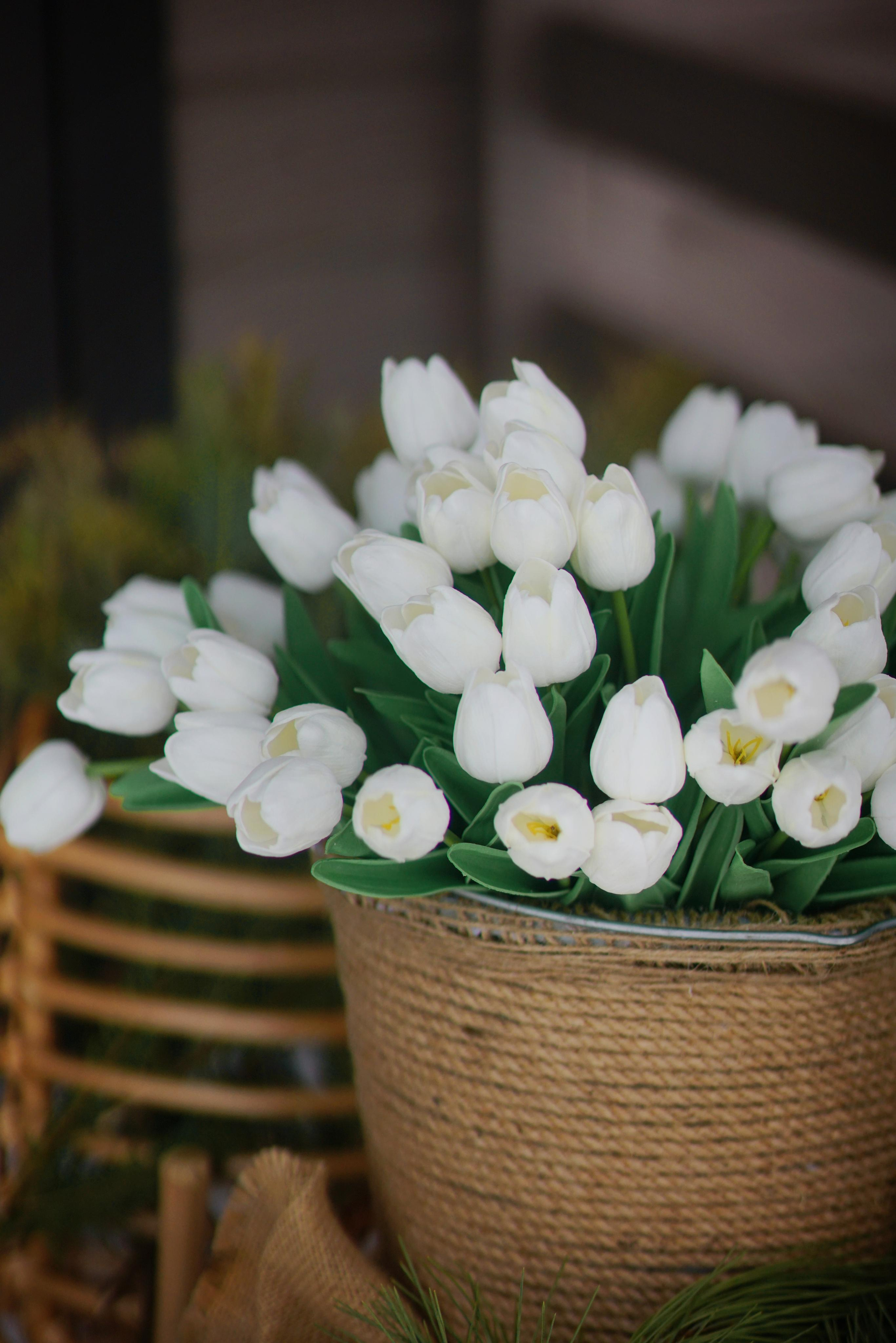 Веранда и тюльпаны. Фотодача — загородный дом для съемок в Домодедово, Московская область
