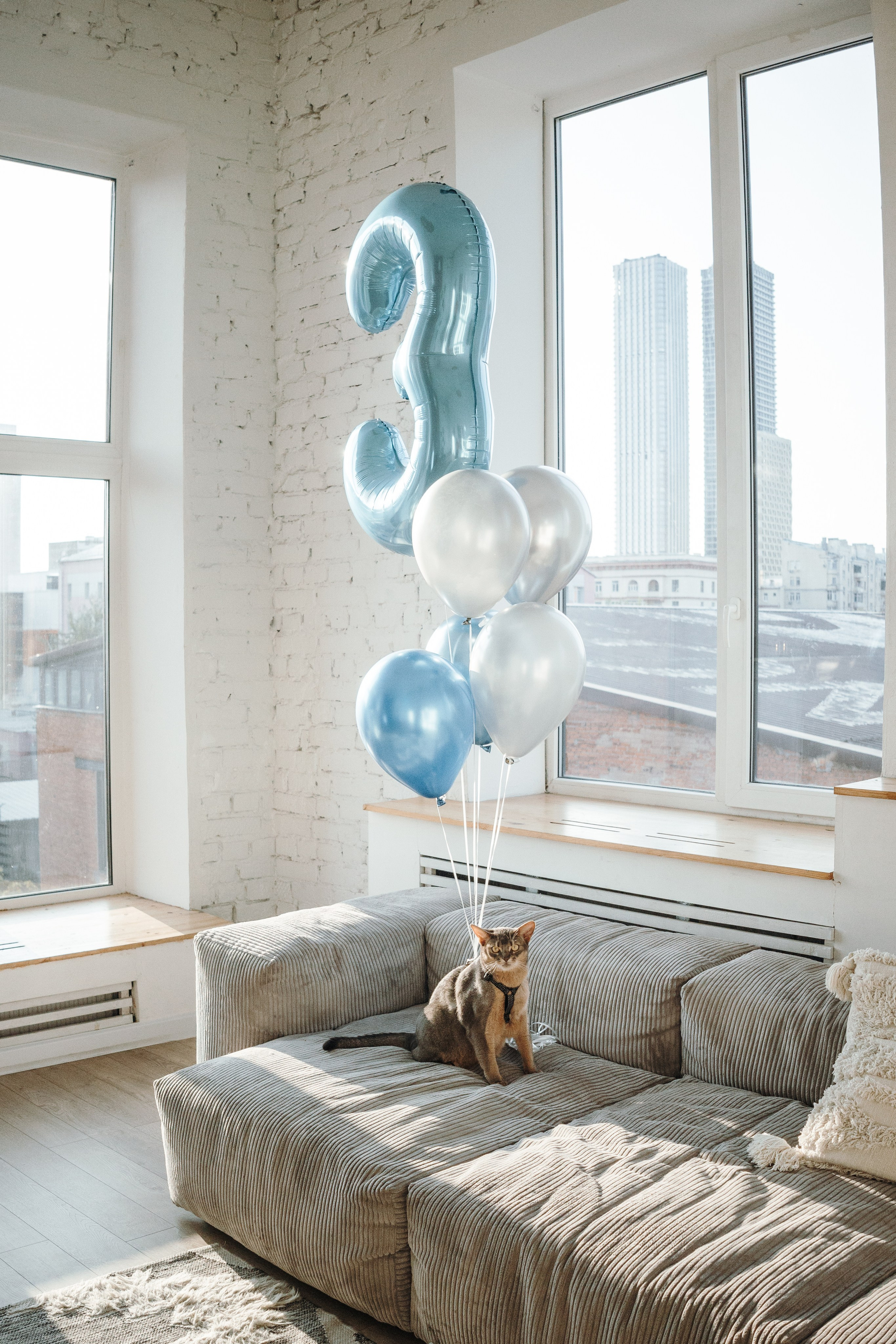 Циско и его семья. Фотограф — Анималист | Санкт-Петербург