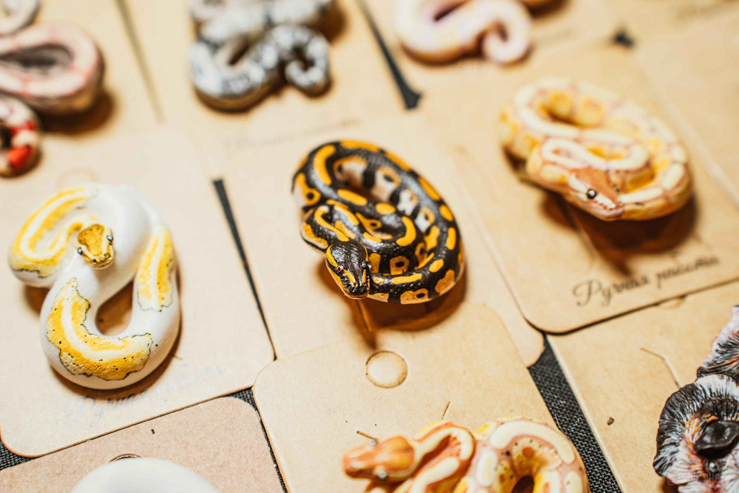 Рептилиум (ручная работа). Репортажный фотограф Анастасия Рубцова