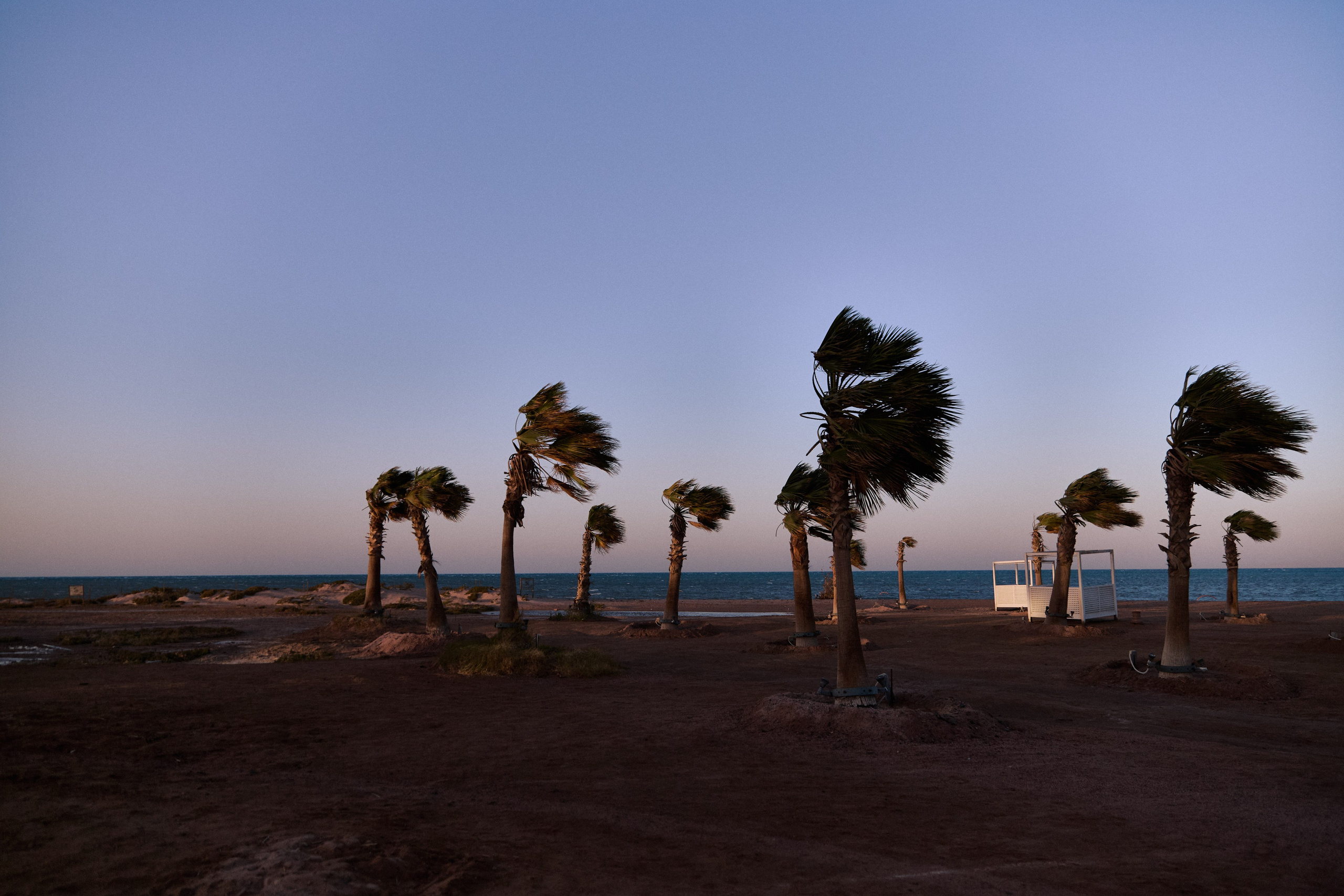 Улица горизонтальная. Jorgis — фотограф в Хургаде / обучение фотографии