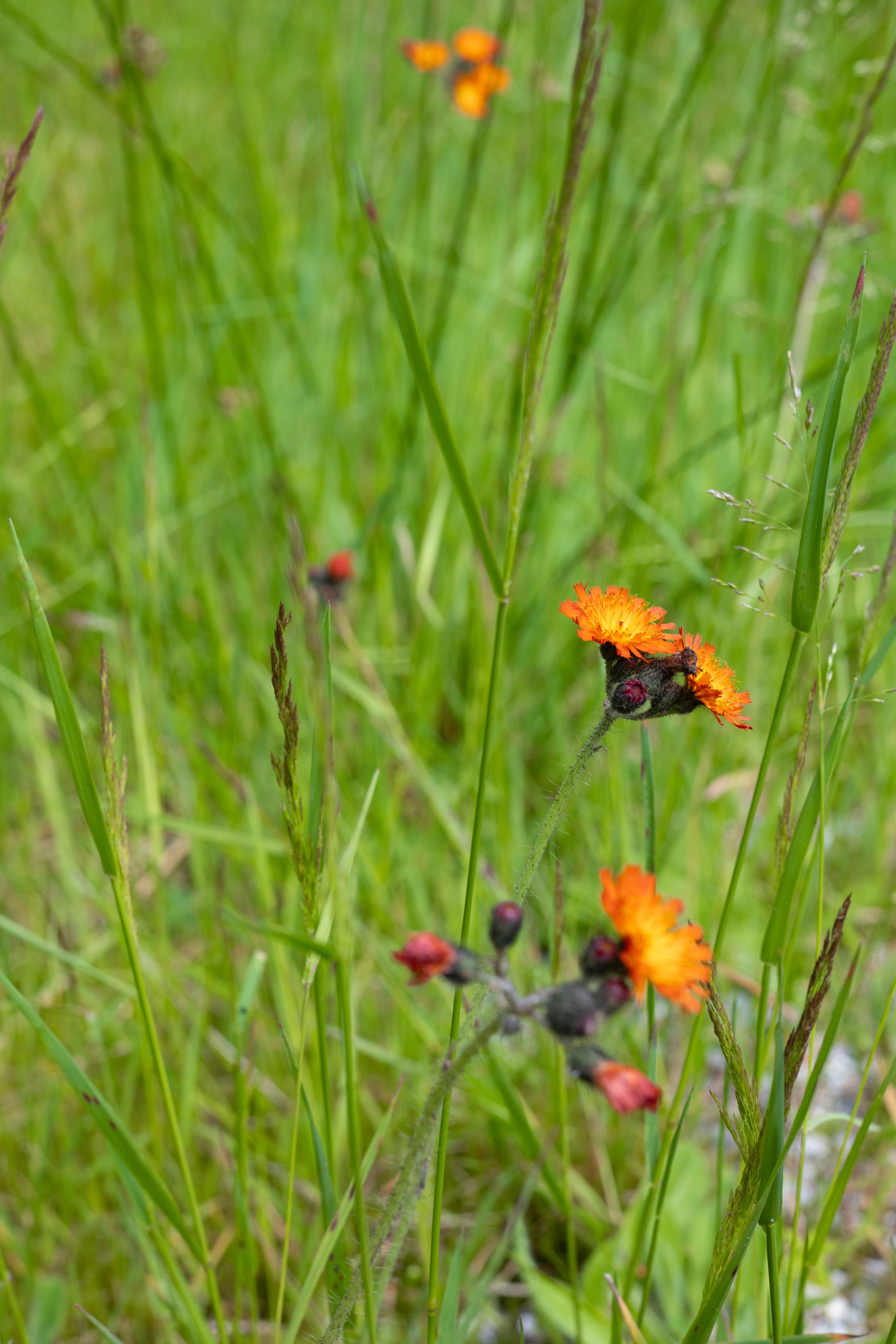 Bischofsgrün. ITMAG.ME | Visual Art