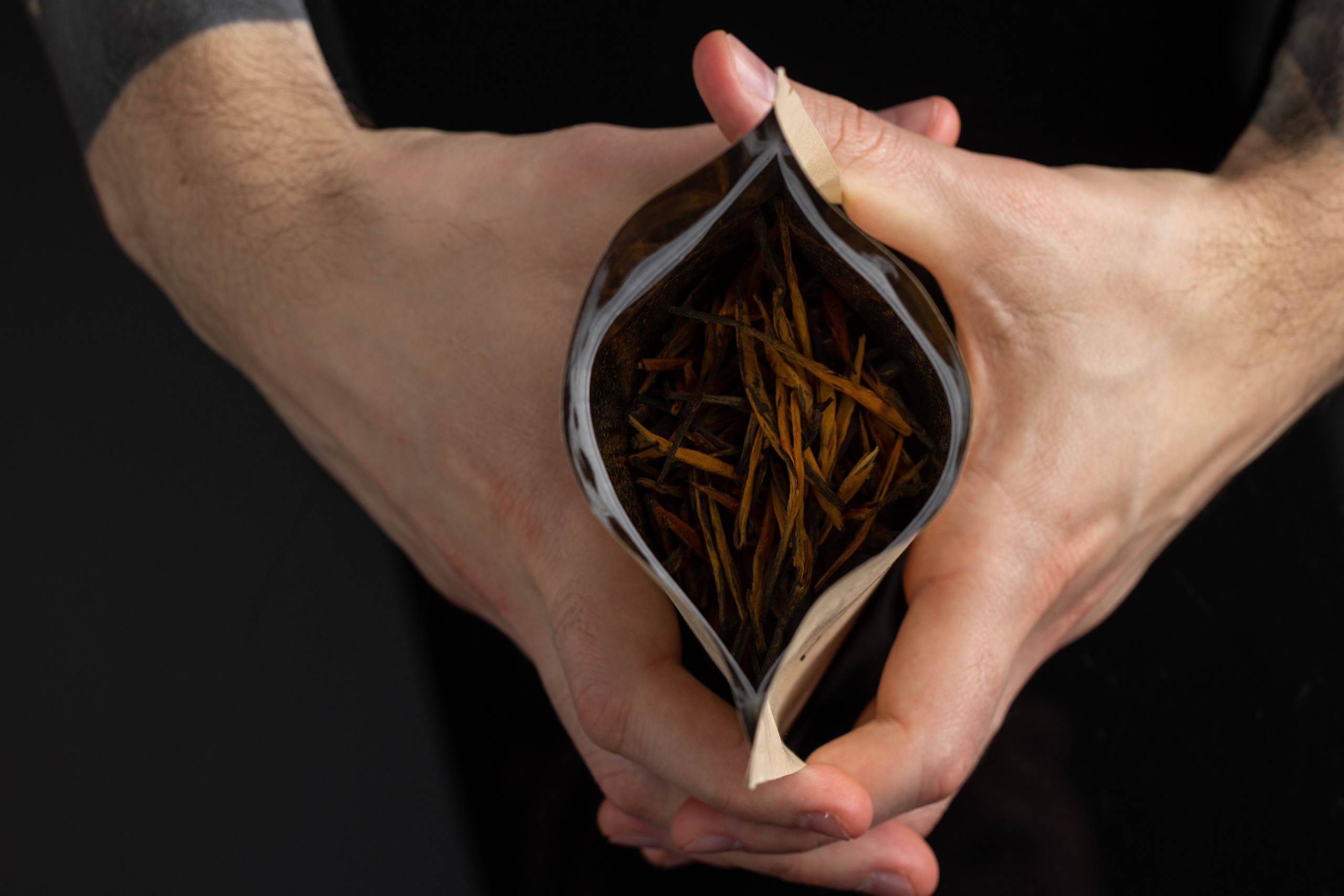 СТУДИЙНЫЕ. PH.DANILUX