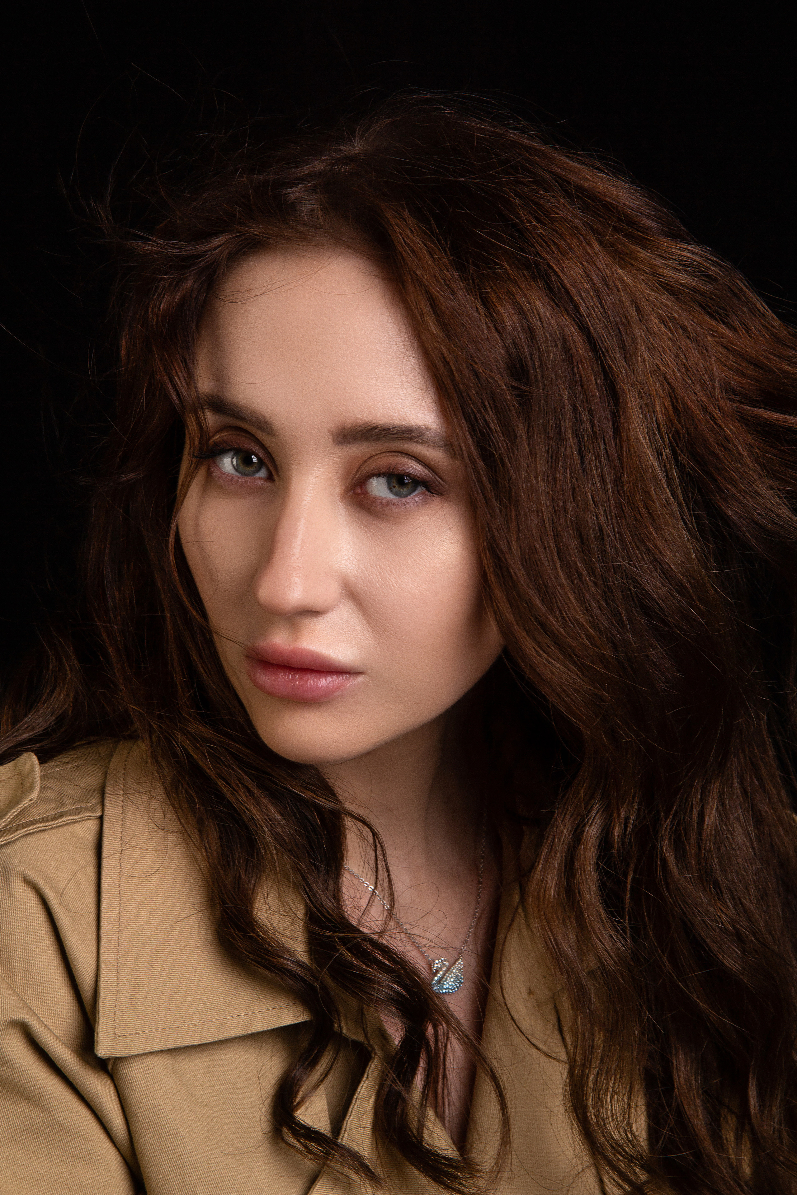 СТУДИЙНЫЕ. PH.DANILUX