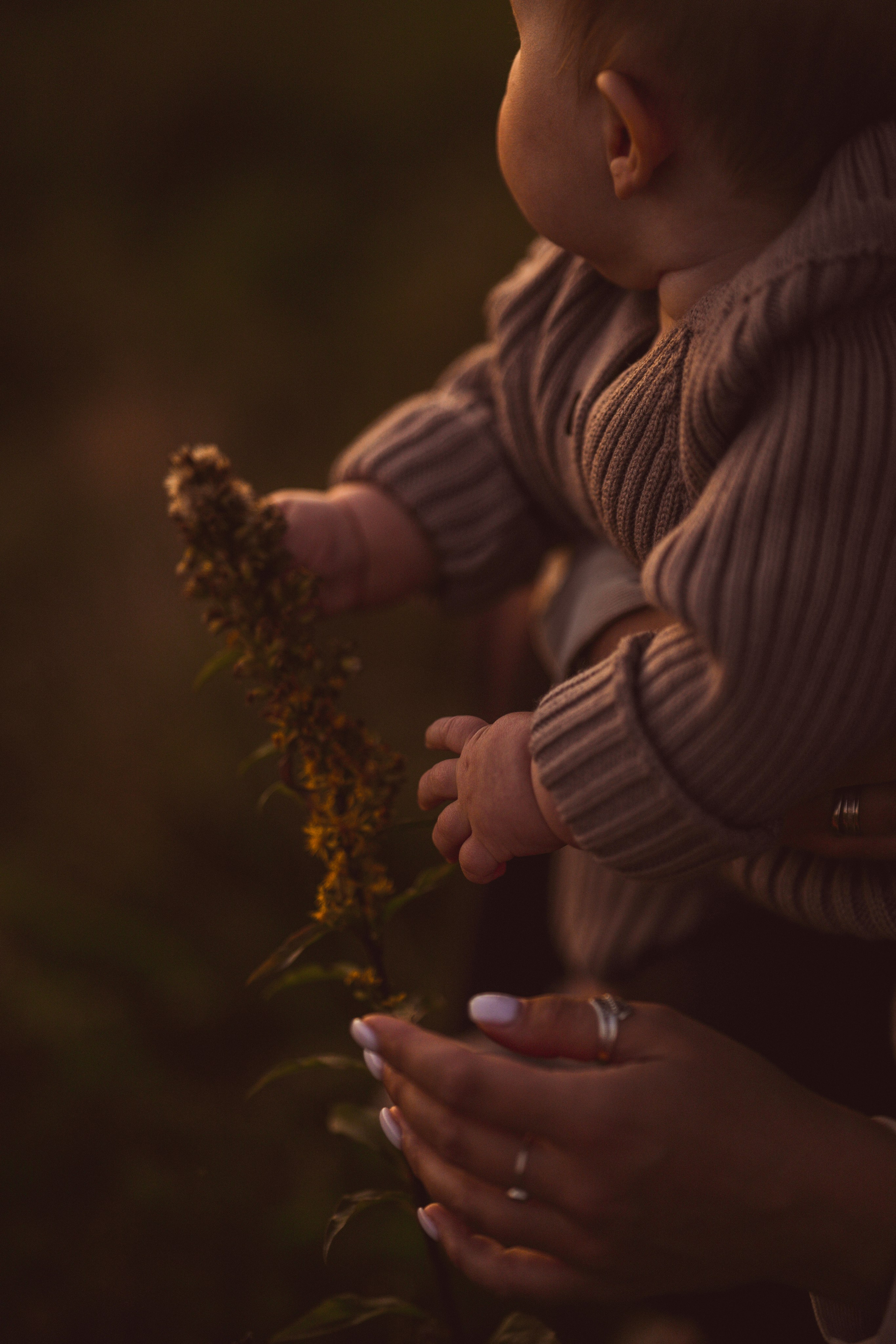 Семья Тони и Саши на закате. Семейный и портретный фотограф в Санкт-Петербурге Татьяна Гримоть