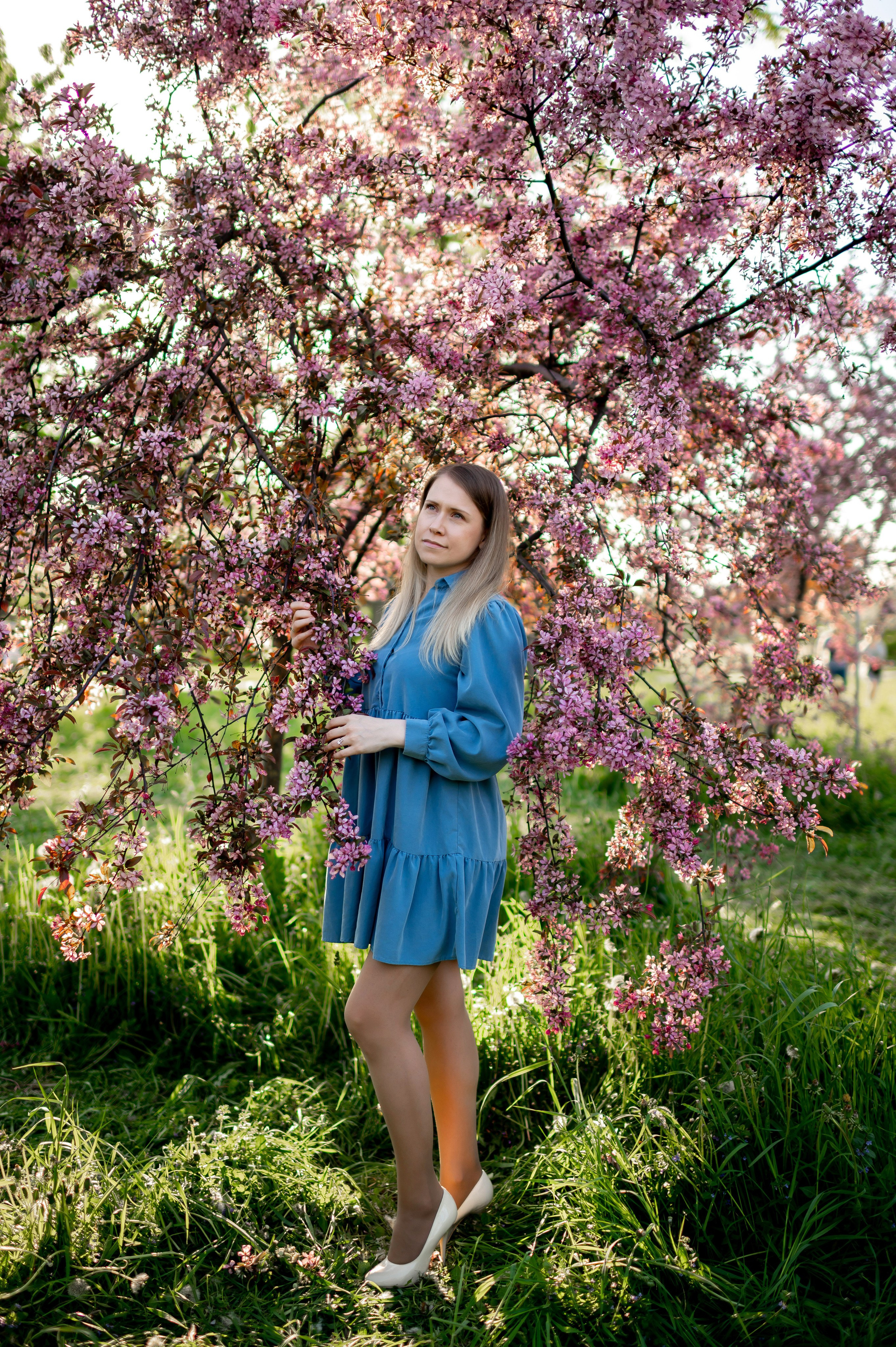 Ника и родители в розовых яблонях. Портретный, семейный и свадебный фотограф в Санкт-Петербурге и в Пушкине Ширяев Денис