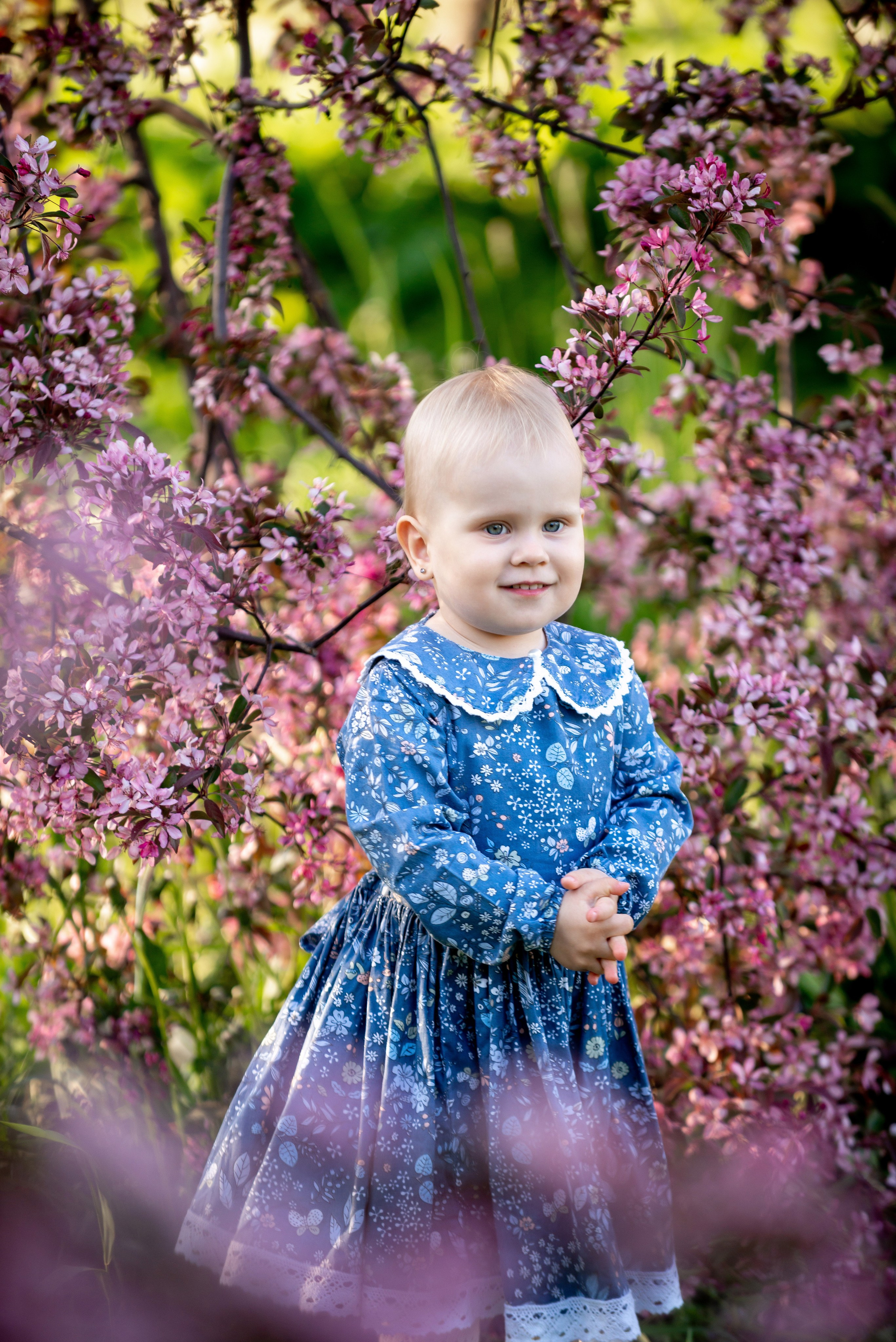 Ника и родители в розовых яблонях. Портретный, семейный и свадебный фотограф в Санкт-Петербурге и в Пушкине Ширяев Денис