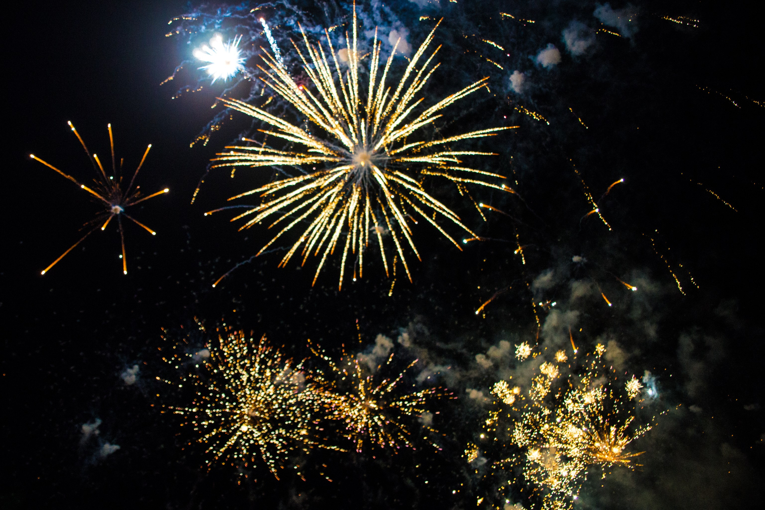 Репортажная фото- видеосъемка. Краснодар и Крым