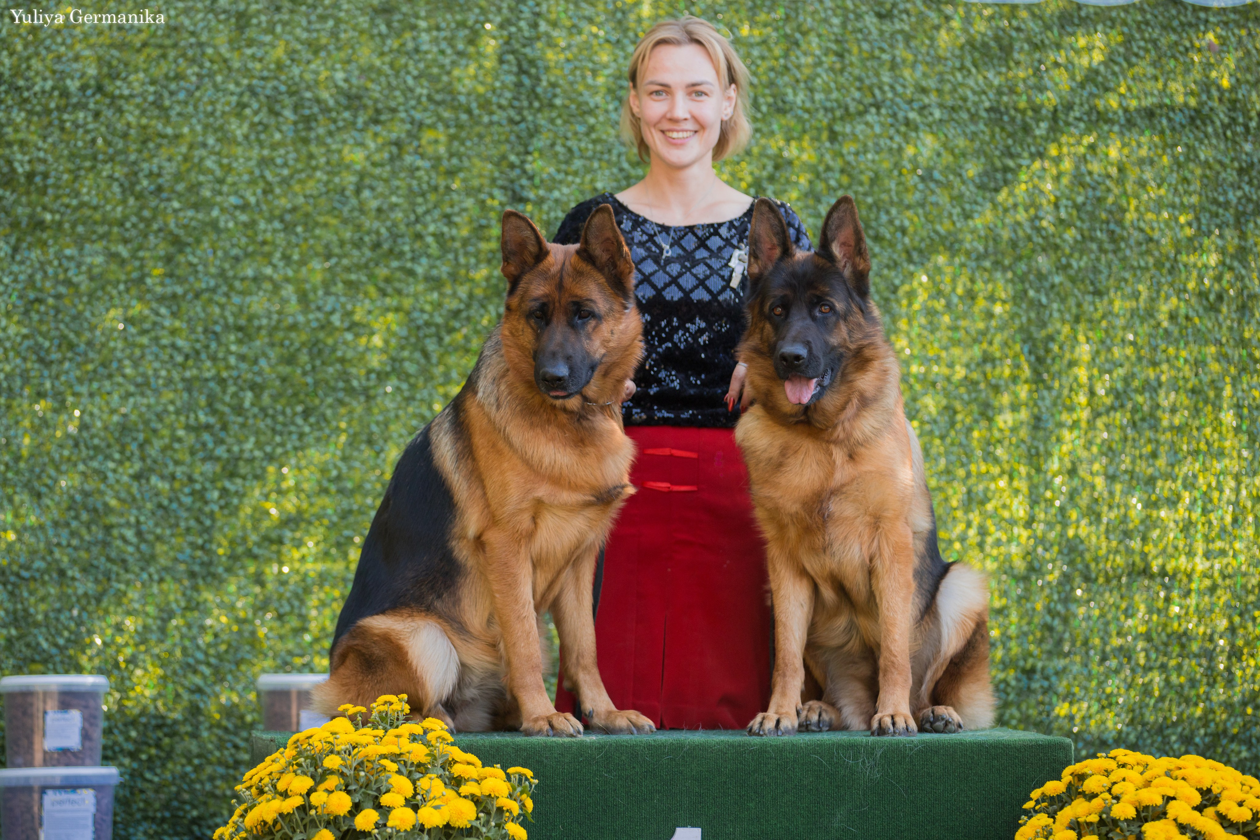 Бишкек 29.09-01.10.2023. Фотограф-анималист Юлия Германика