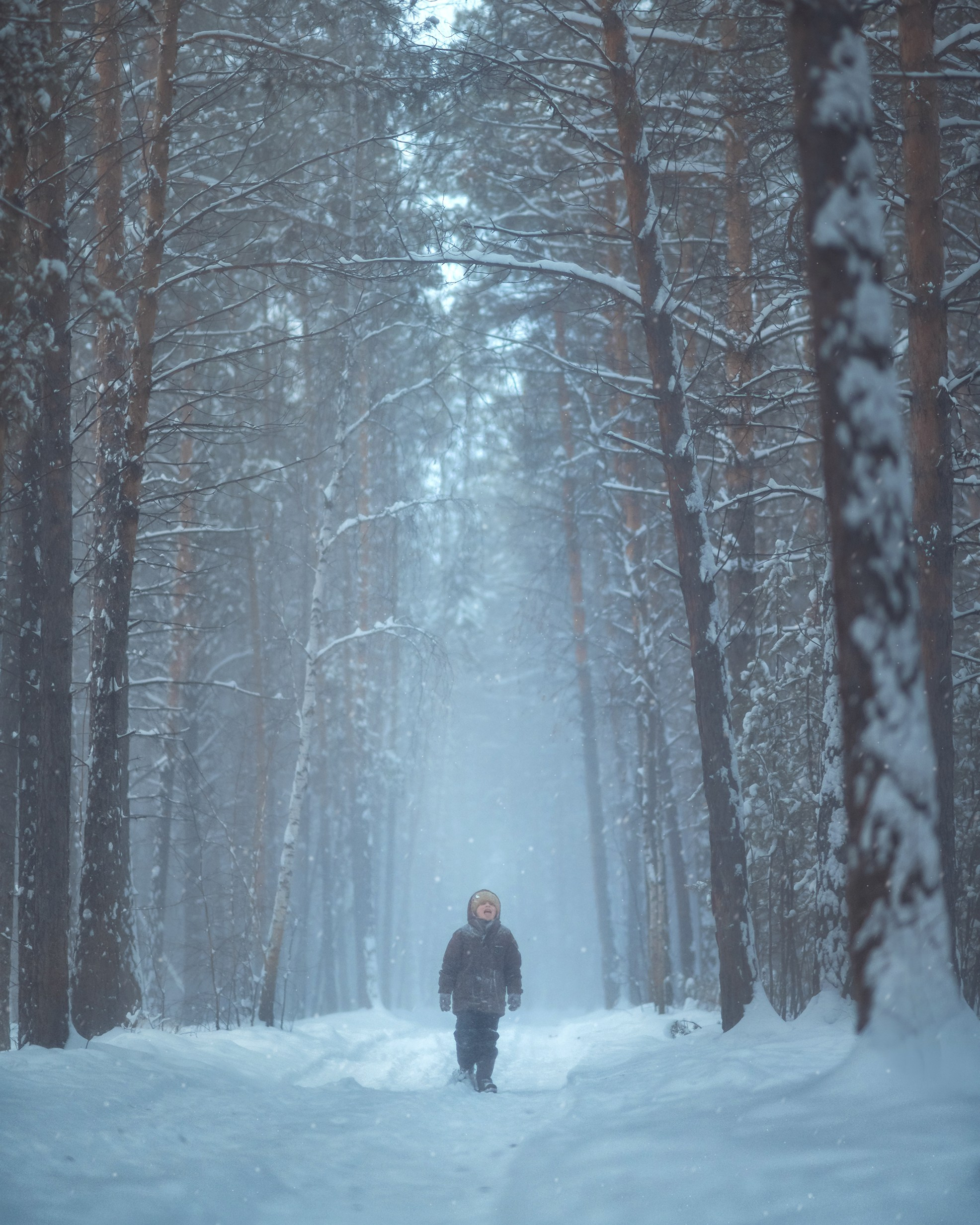 Художественная фотография. Главная
