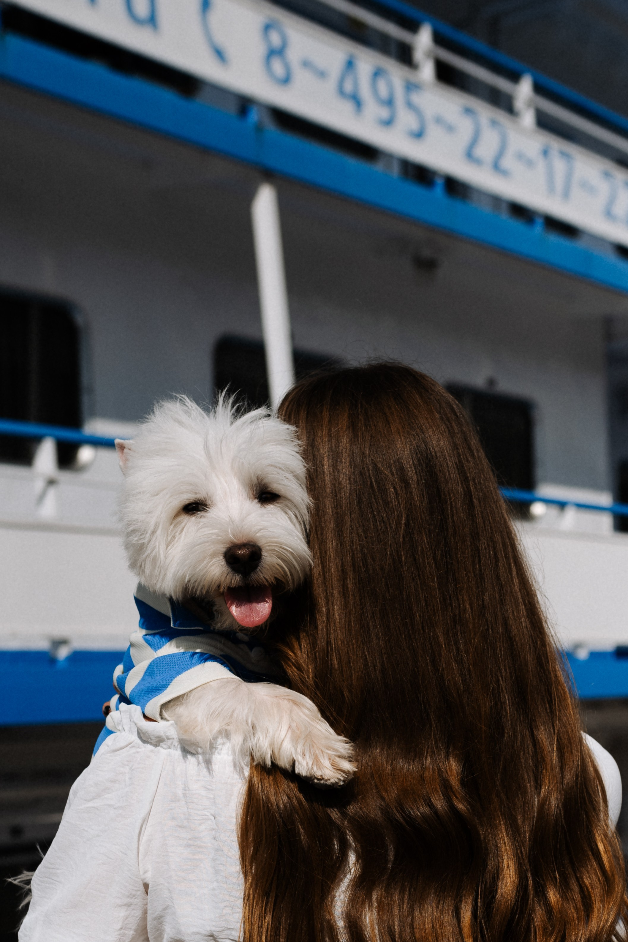 Даша и Вайт. Фотограф анималист в Москве Ольга Агушева
