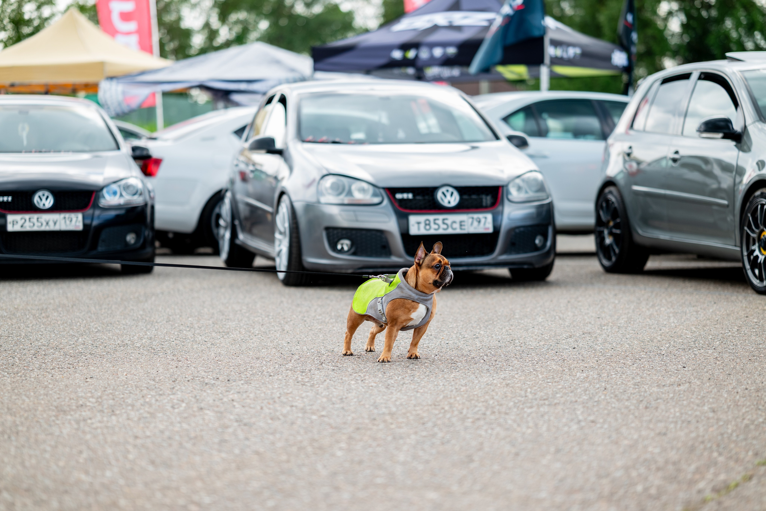 VAGBURG'25. Автомобильный фотограф Александра Рузиева aka Ju1cyFlex