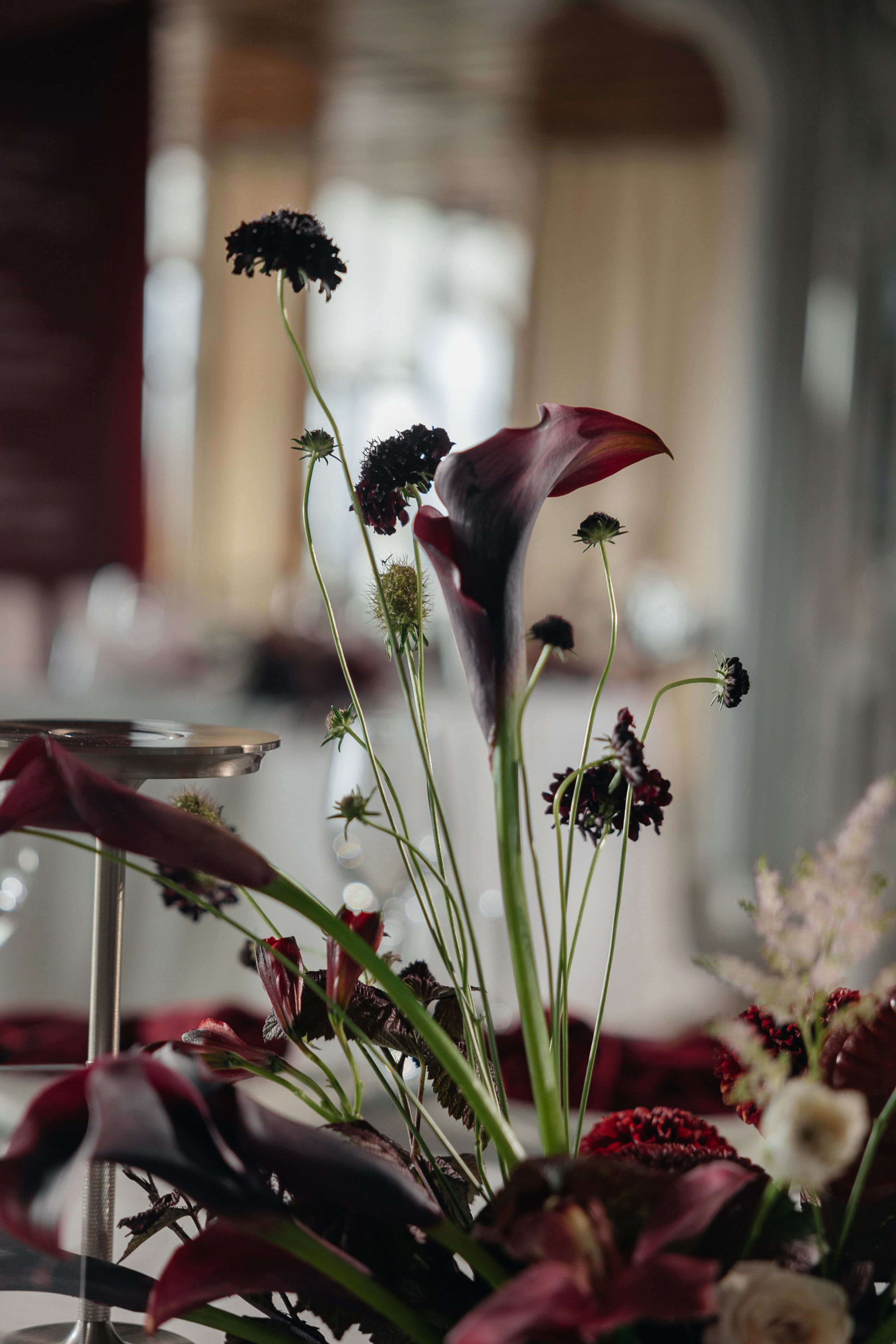 Rain falls down. Главная