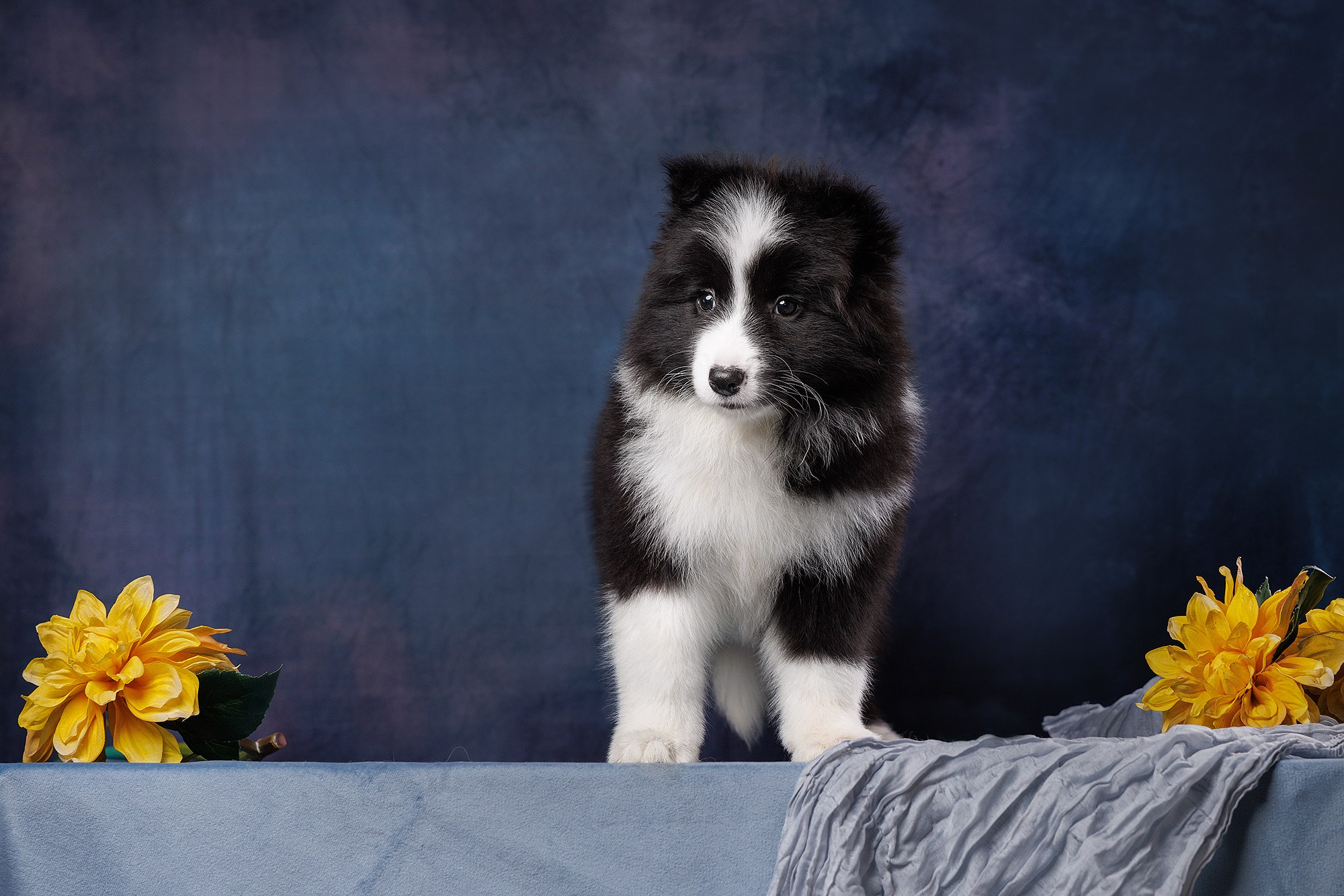 На водной основе. О нас