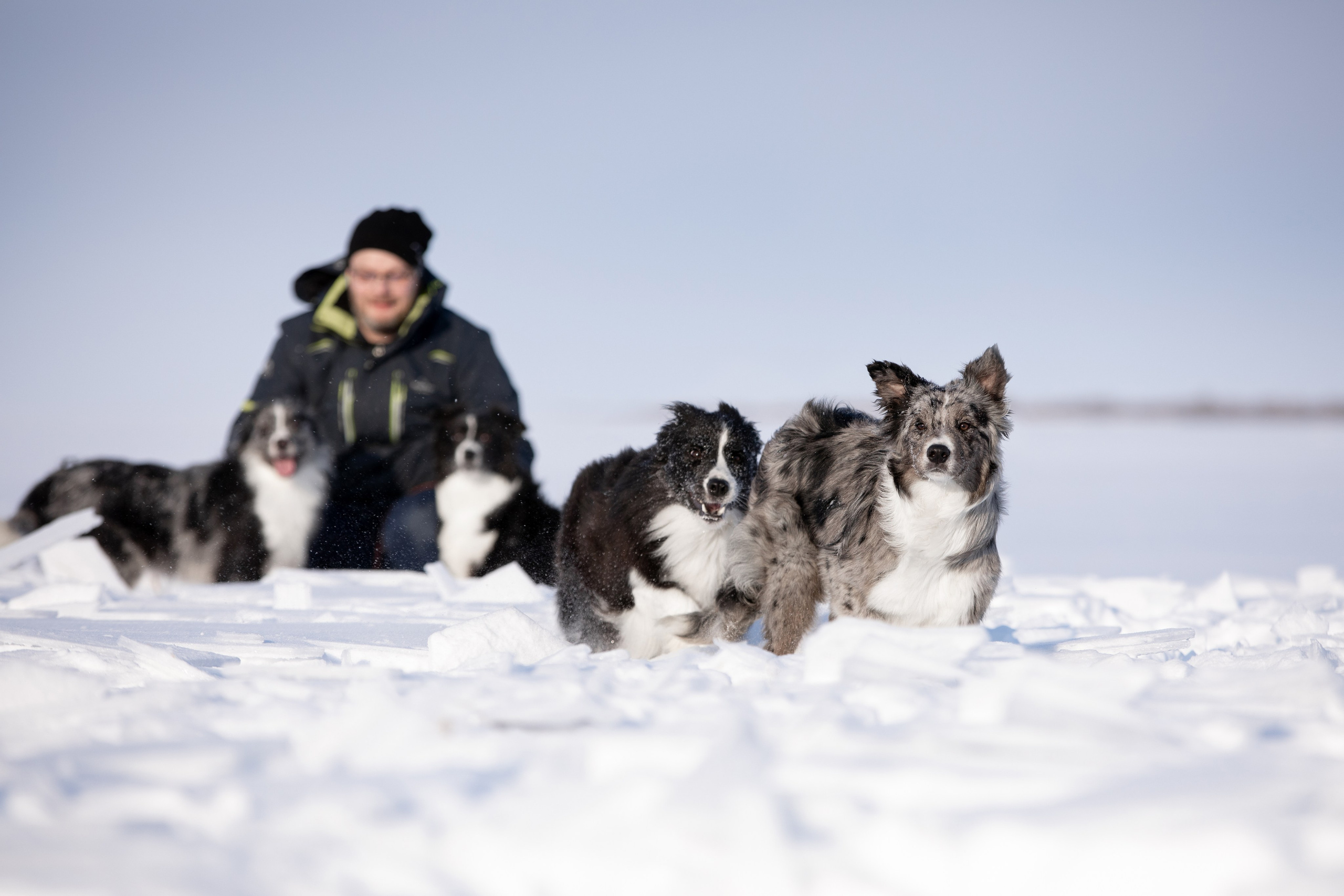 Мороз и солнце. О нас