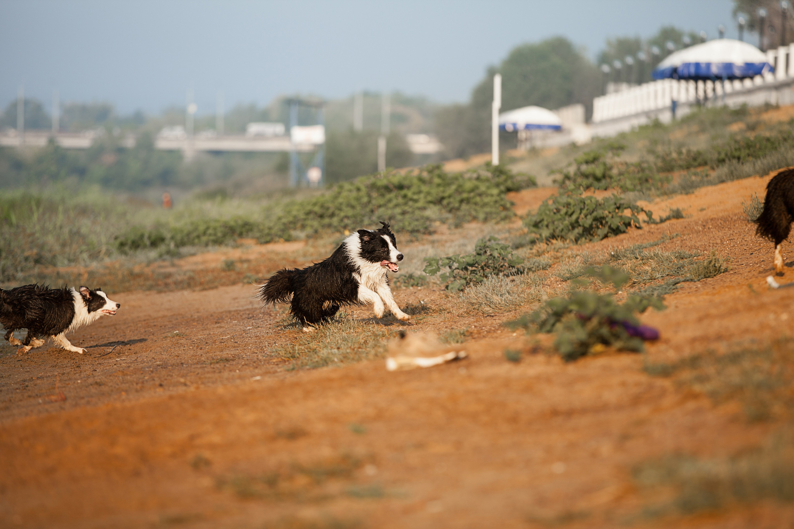Сочный рассвет, на который решились. О нас
