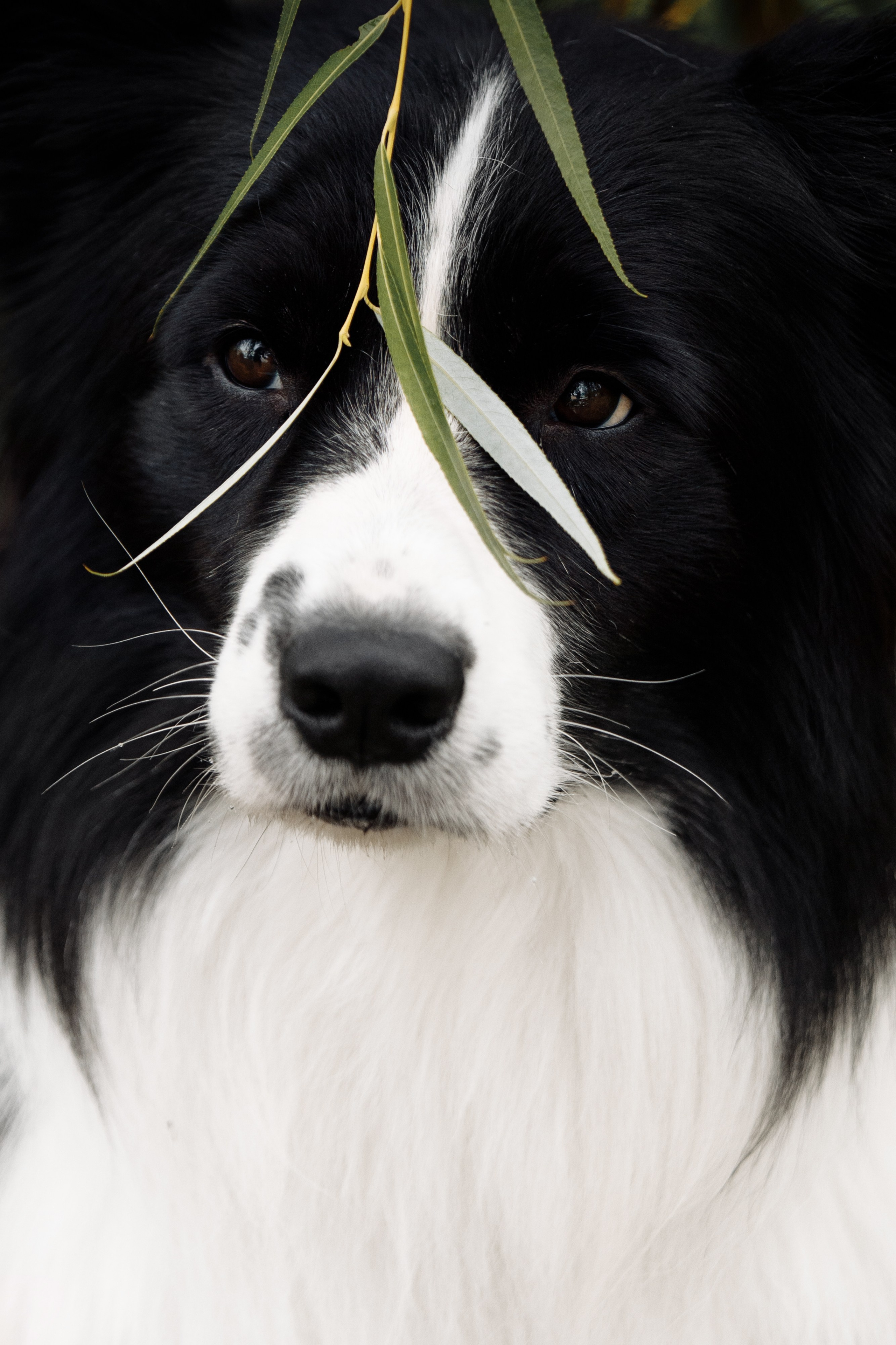 Казань. О нас