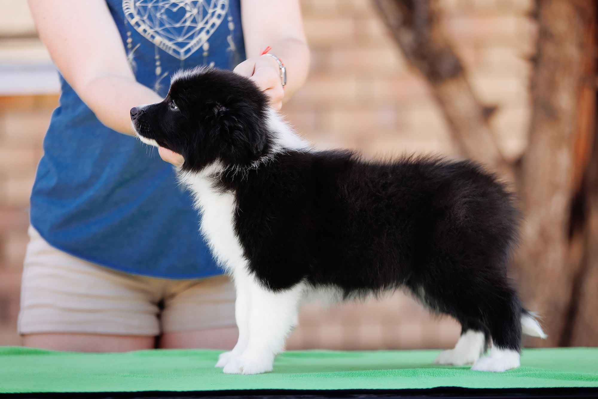 Трава у дома. О нас