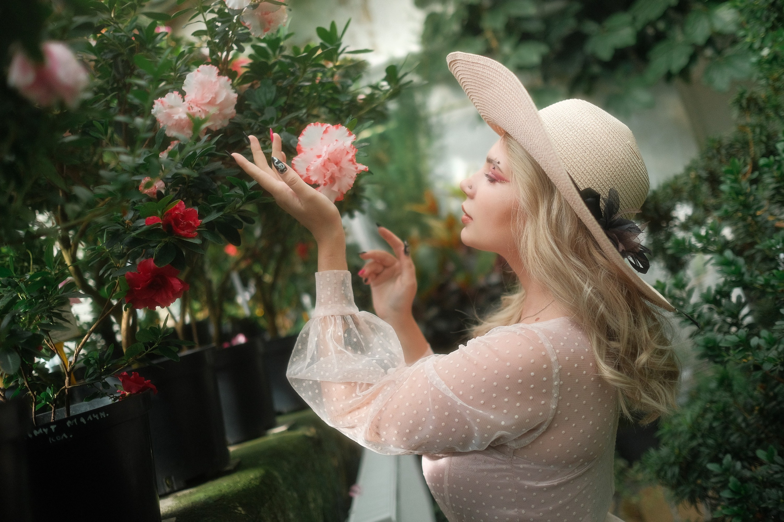 Greenhouse. Aleksandr Schafft