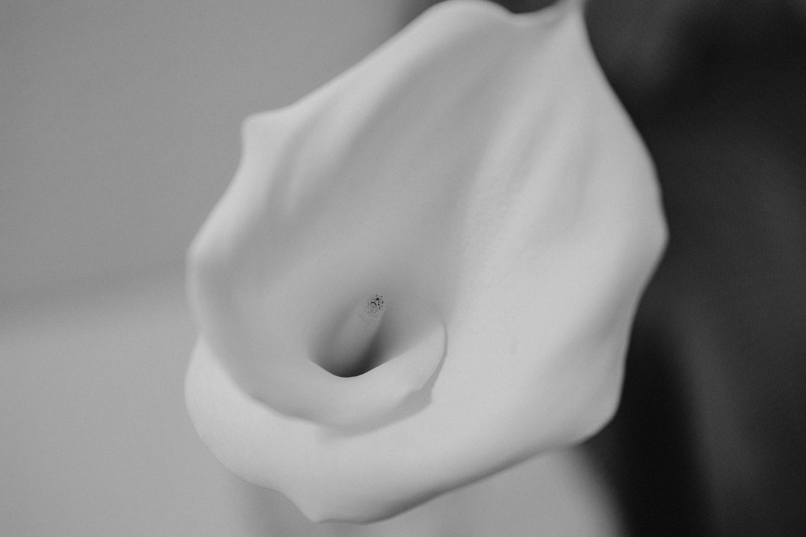 О простом и настоящем. Свадебный фотограф в Москве | Профессиональный фотограф | Выгодные цены на услуги