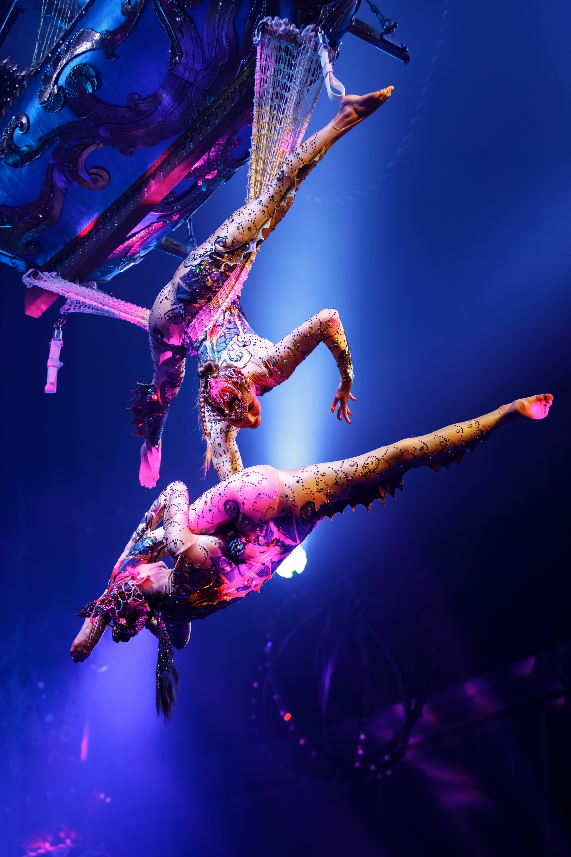 Сочинский росгорцирк Шоу Гии Эрадзе цирк. Профессиональный фотограф в Сочи Виктория Джой. Обучение