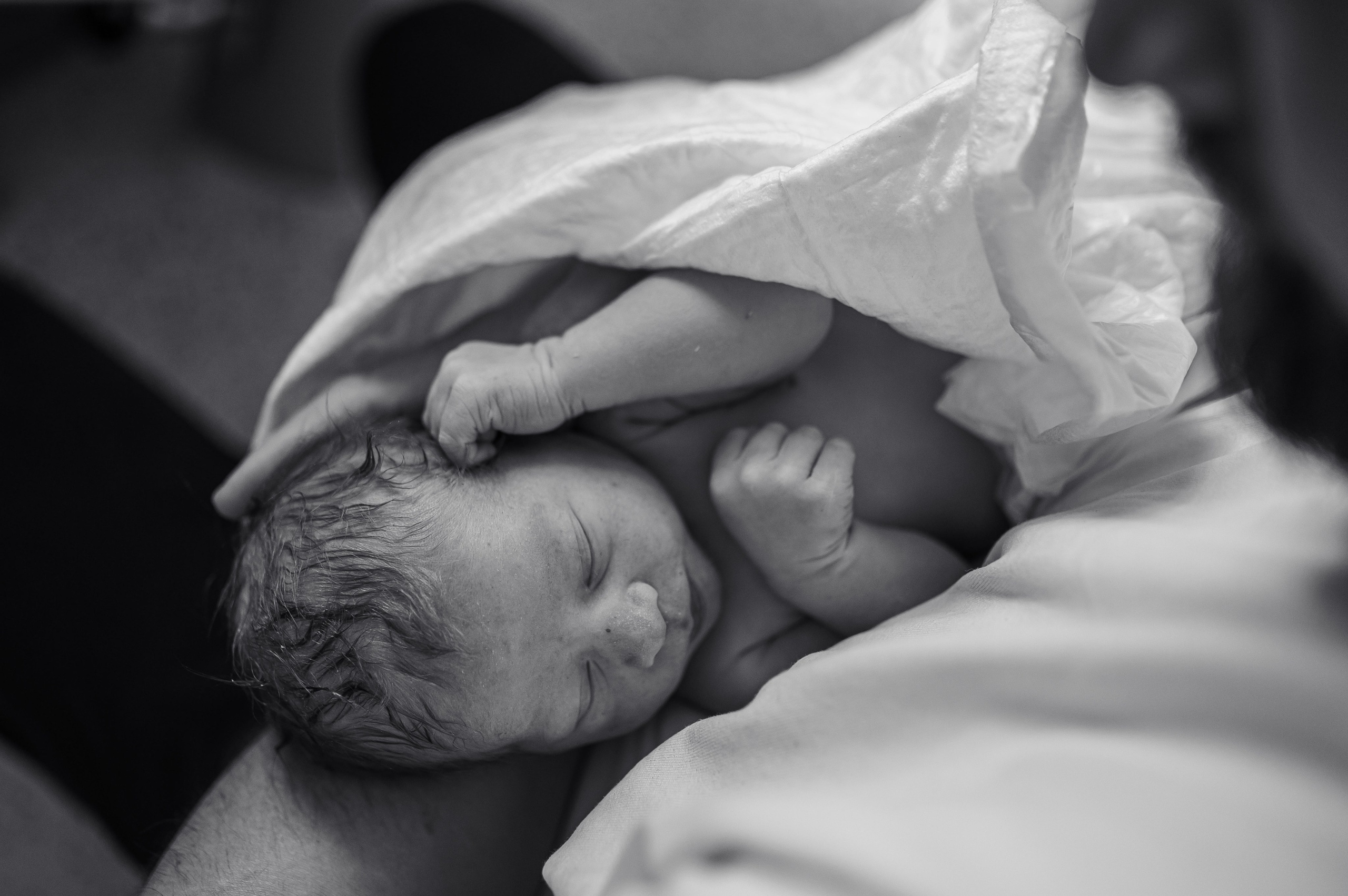 Хонор Хонорович родился в МД Лахта / Лешуков С. В. / Никитина Е. Фотограф на роды СПБ Юлия Герасимова