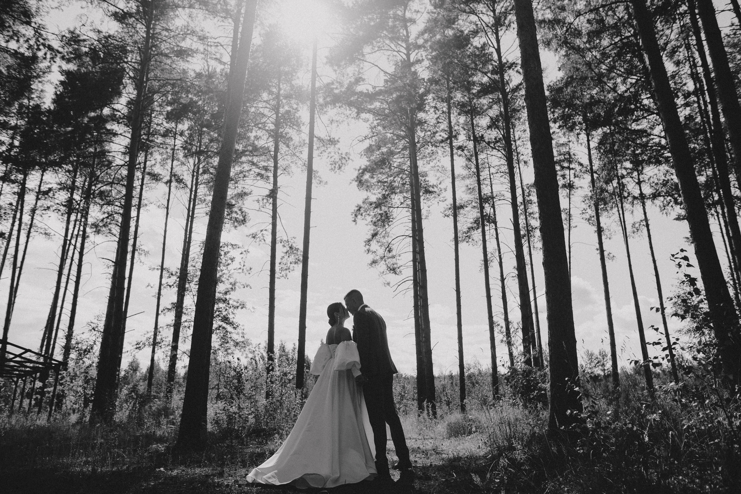 Кристина и Дима. Свадебный фотограф в Москве и Ярославле Павел Кандауров