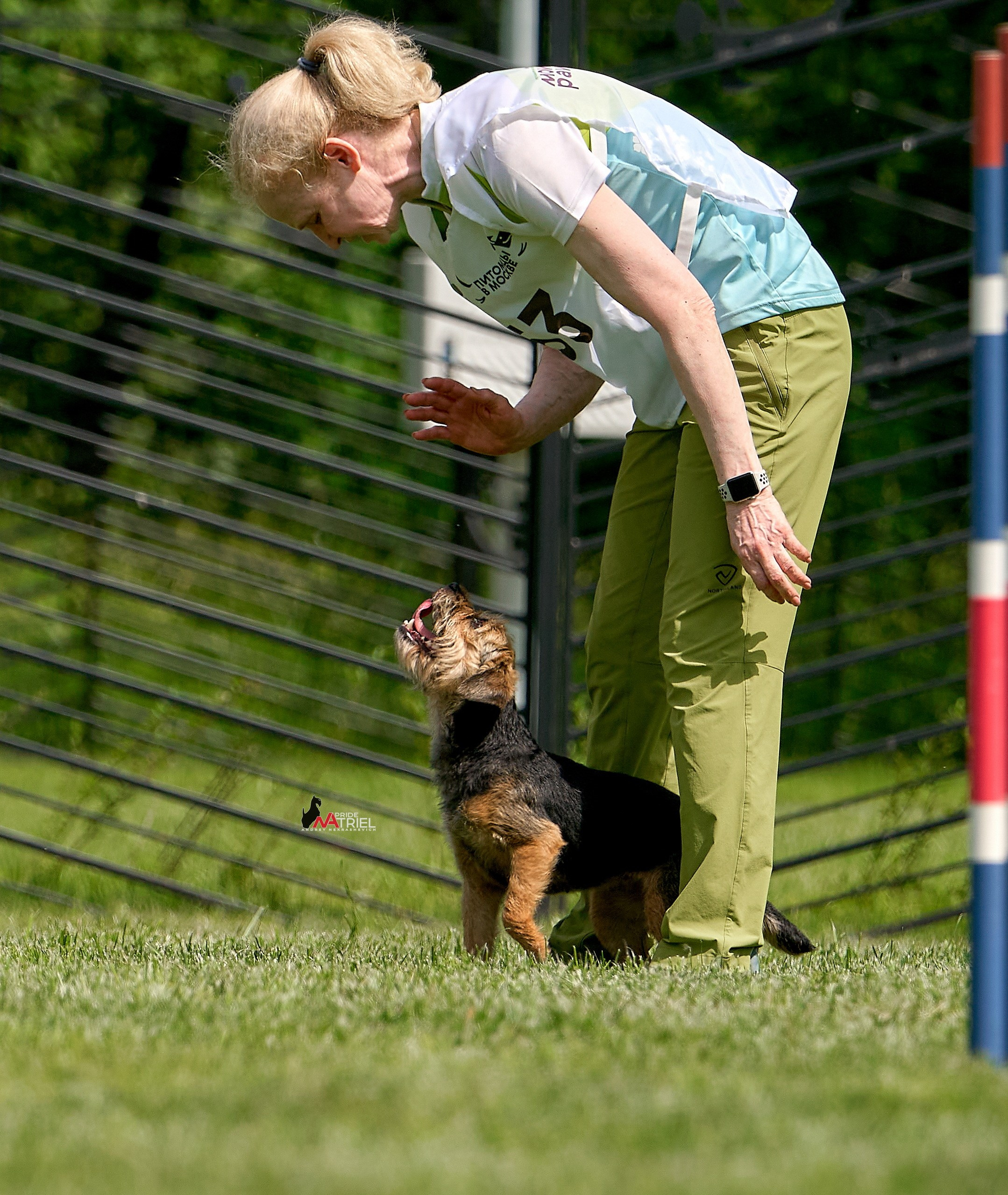 Аджилити — галерея NATRIEL