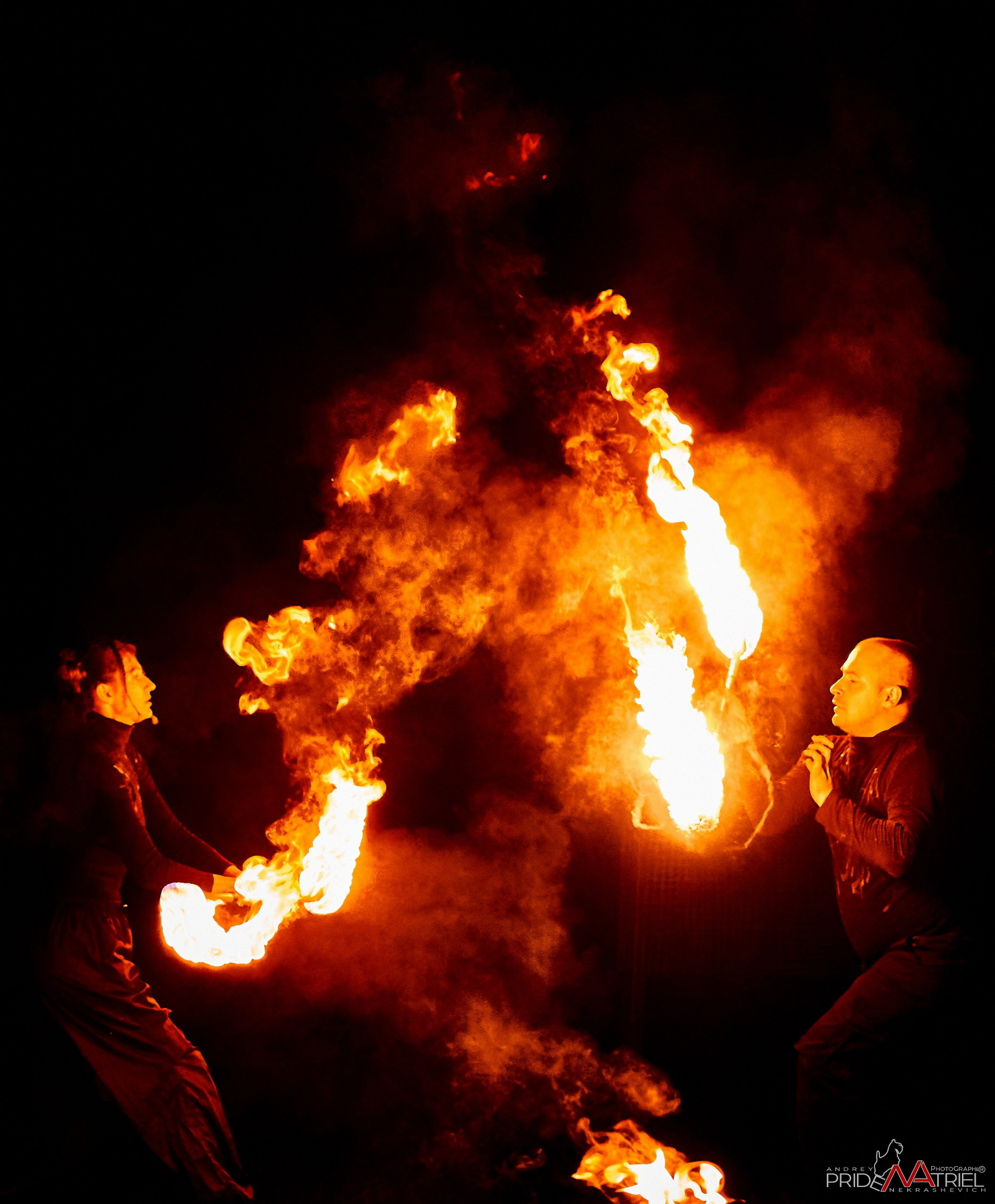 Огонь, Ветер, Вода, Земля — галерея NATRIEL