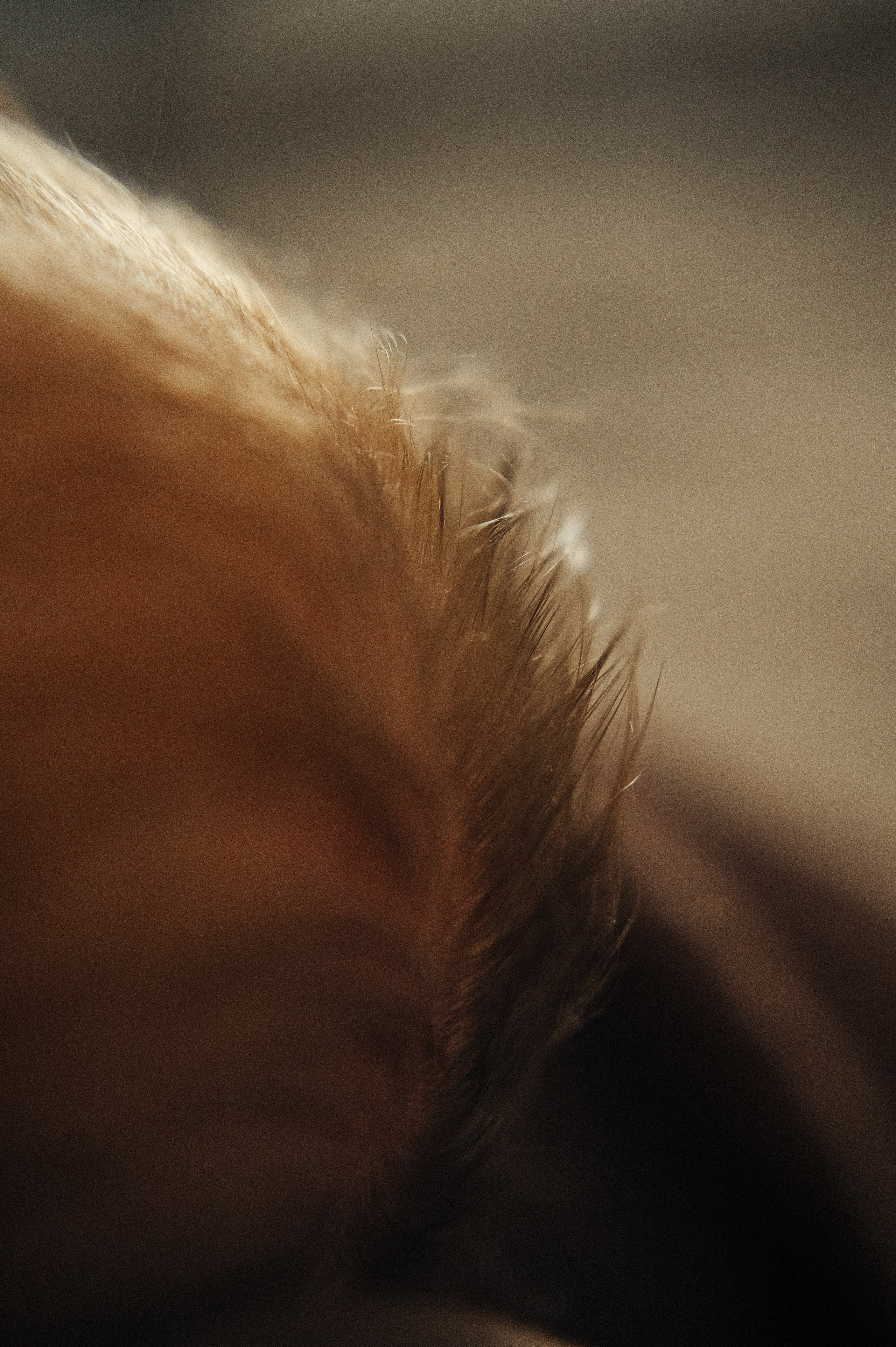 Фотограф и видеограф в Санкт-Петербурге Полина Янушко. Съёмка родов