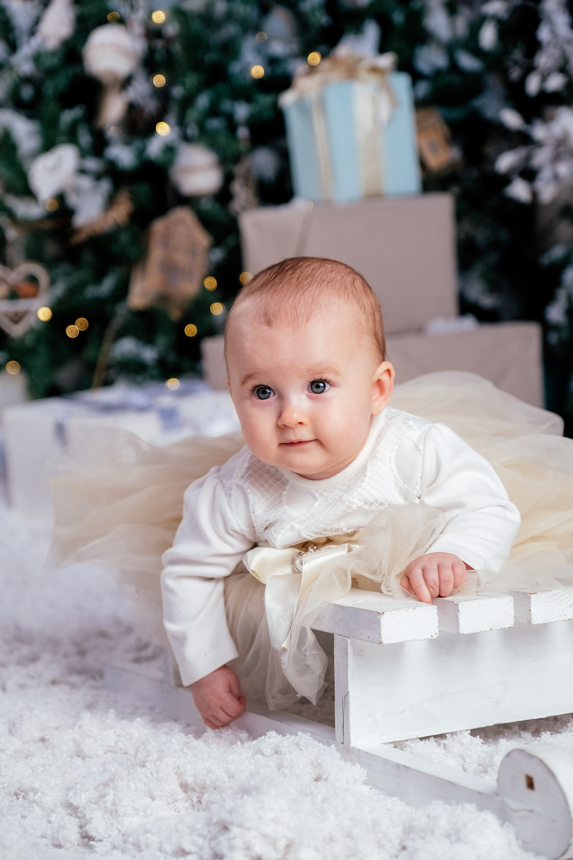 Новогодние семейные