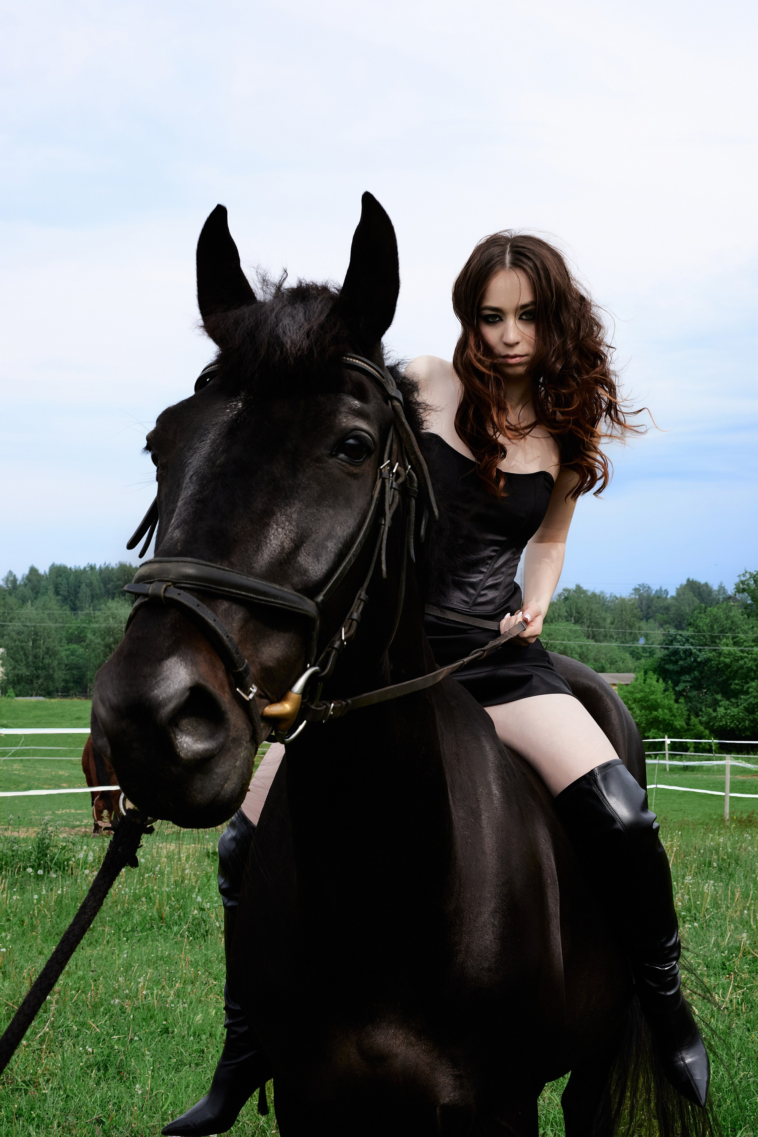 The black horse. Фотограф Надежда Куксина