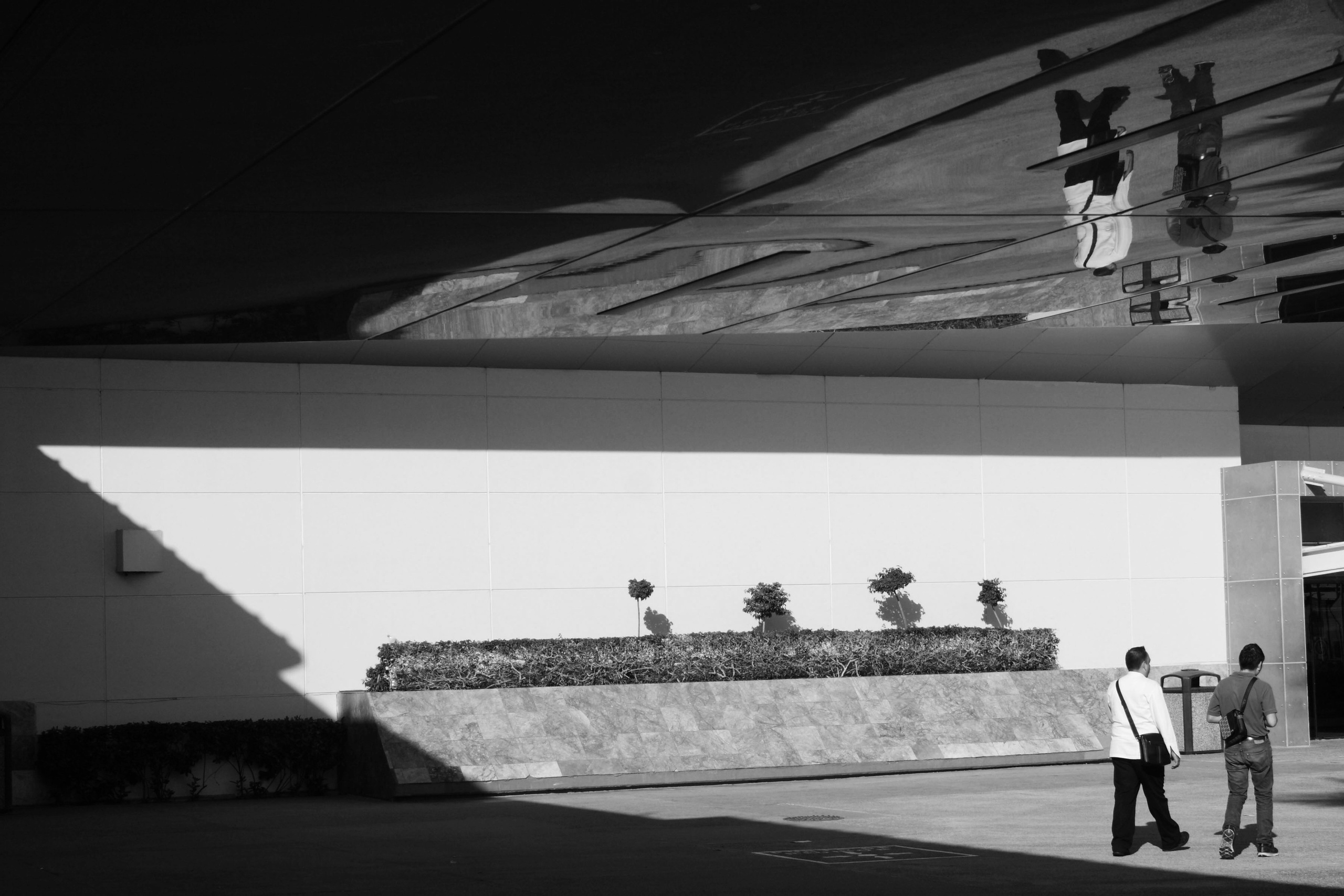 Жанр. Фотограф Лагутин Анатолий