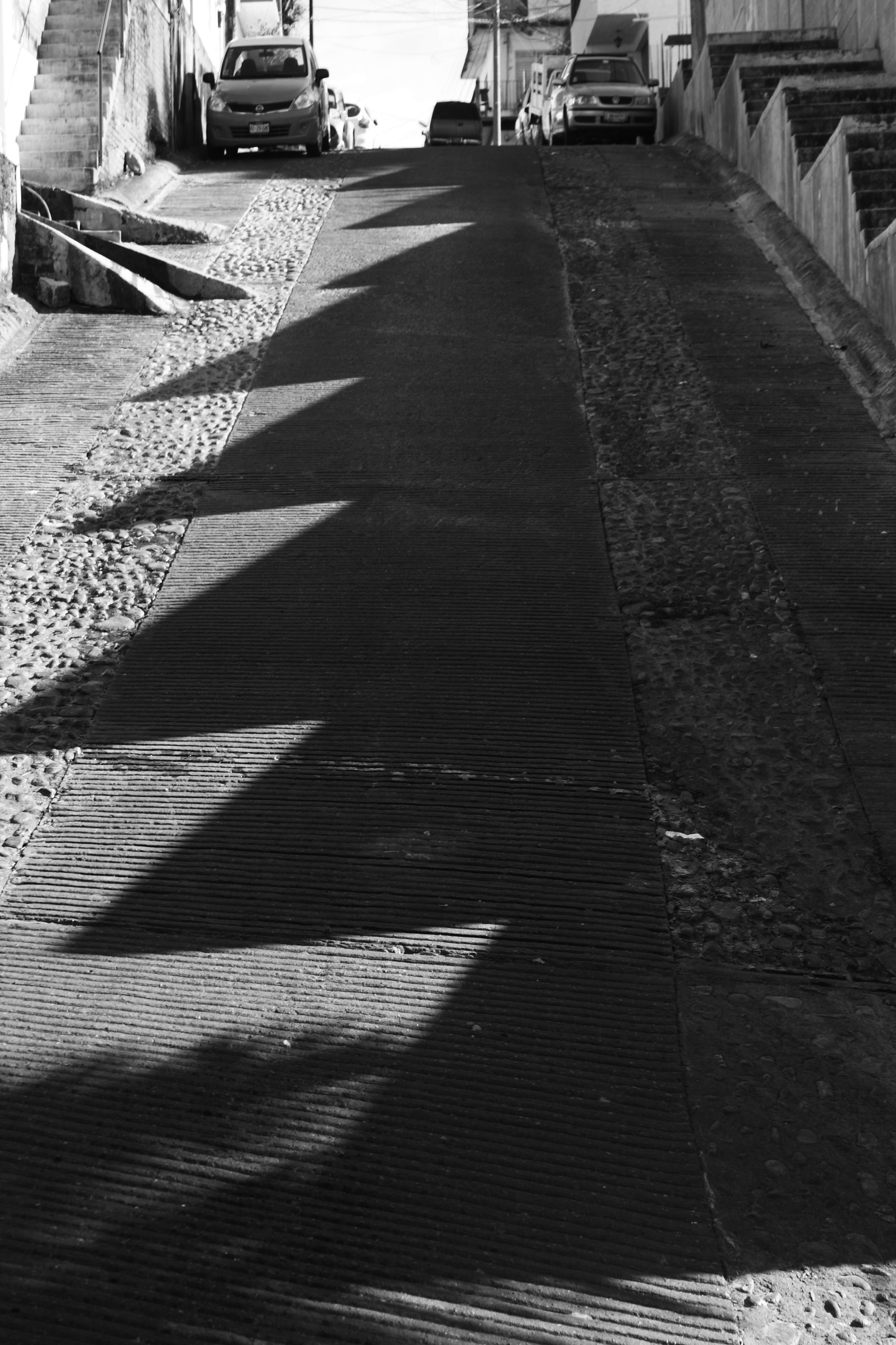 Жанр. Фотограф Лагутин Анатолий